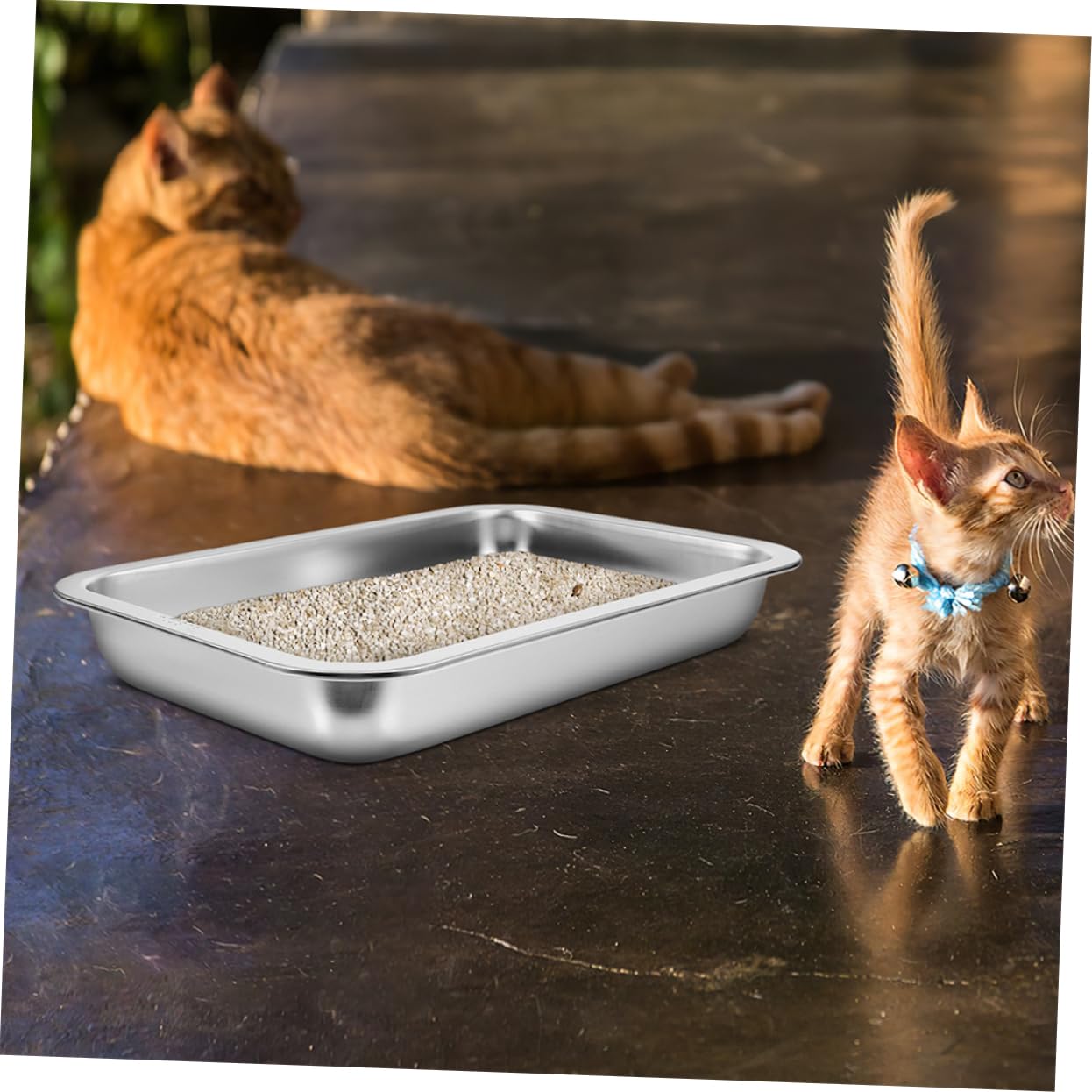 TOYANDONA Lettiera Per Gatti in Acciaio Resistente Lettiera Portatile Per Piccoli Animali Domestici Facile Da Usare e Pulire Mantenendo La Casa Pulita