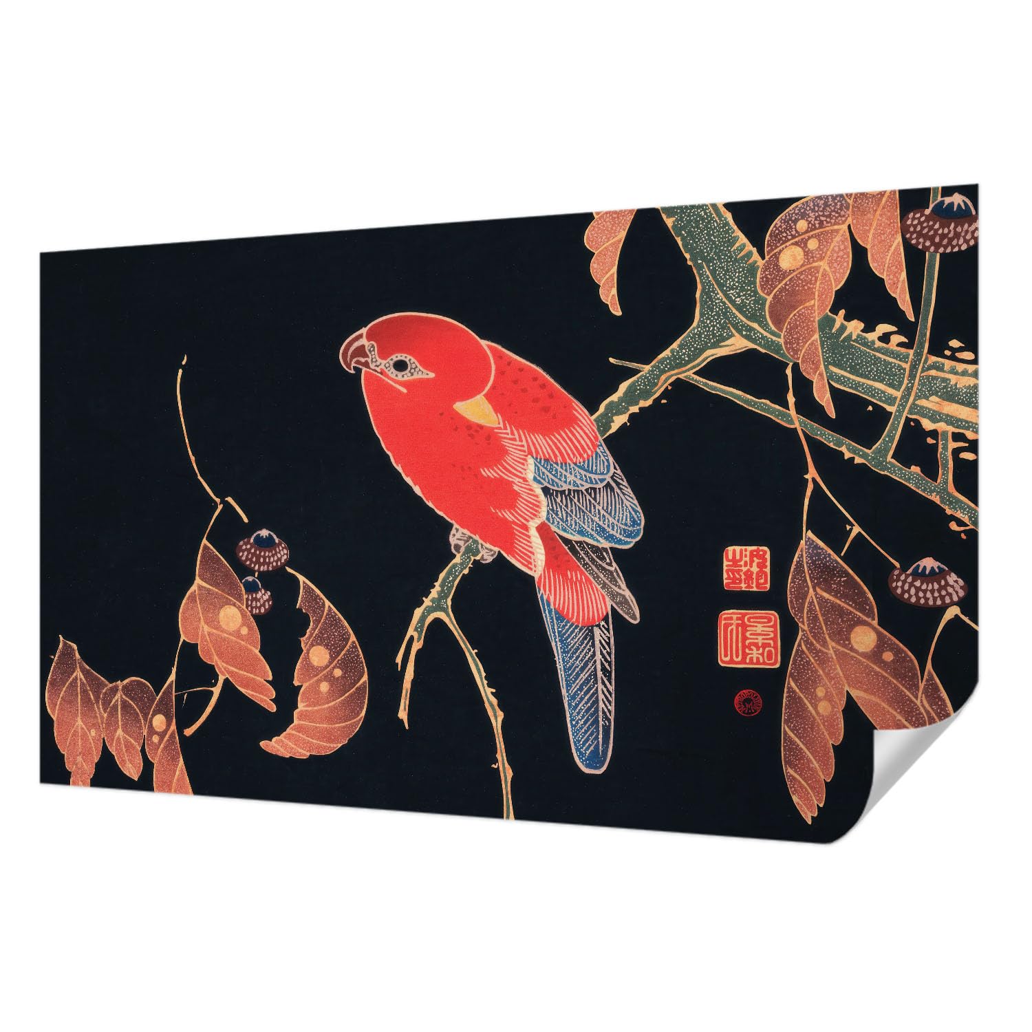 Papier peint photo autocollant 416x254 cm oiseau exotique panoramique Tulup