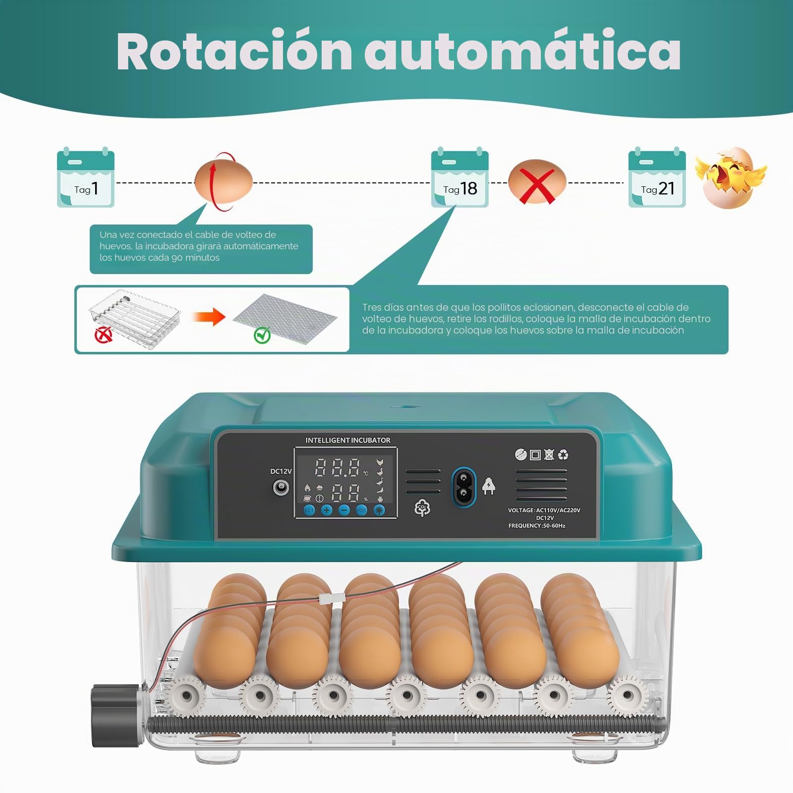 Incubadora totalmente automática para 36 huevos con control de temperatura y volteo automático, 4 modos automáticos, incubadora para pollos, patos, gansos, codornices, vista panorámica de 360° (Verde)