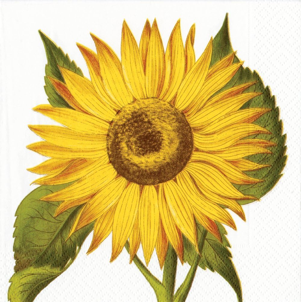 Get Special Price Entertaining with Caspari Sunflower Paper Luncheon Napkins, Pack of 20 Crazy Clearance Entertaining with Caspari Sunflower Paper Luncheon Napkins, Pack of 20