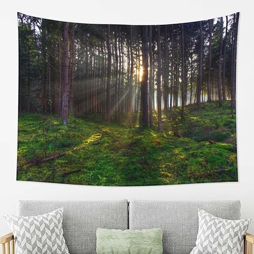 Uideyvi Tapiz Nature's Radiance Mossy Forest Sunbeams  Arte de pared decorativo para colgar, tela de fondo, sala de estar y dormitorio, colgante de
