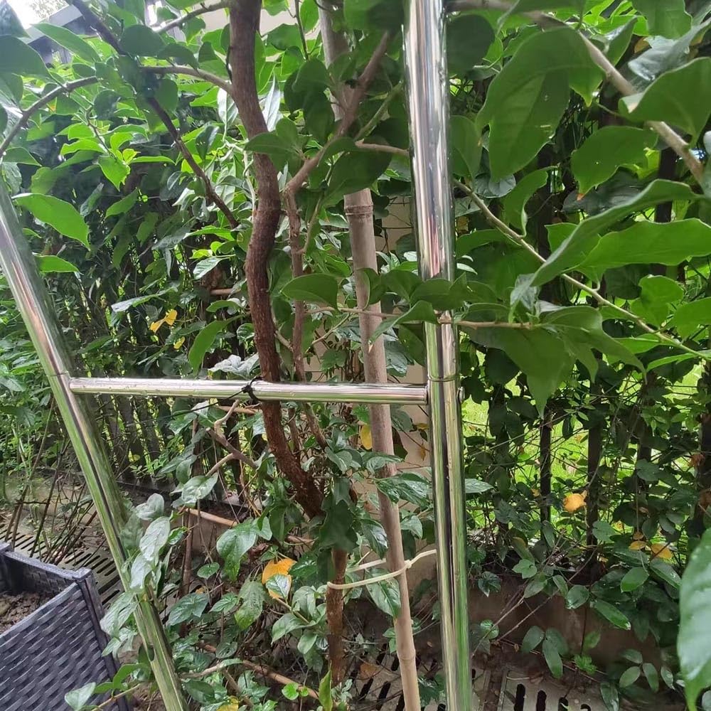 Stalowy łuk ogrodowy do roślin pnących, odporna na warunki atmosferyczne, kratka i rama podtrzymująca różę - 350/400/450 cm szerokości, idealna do dekoracji ogrodu i wzrostu roślin (rozmiar: 320 x 240
