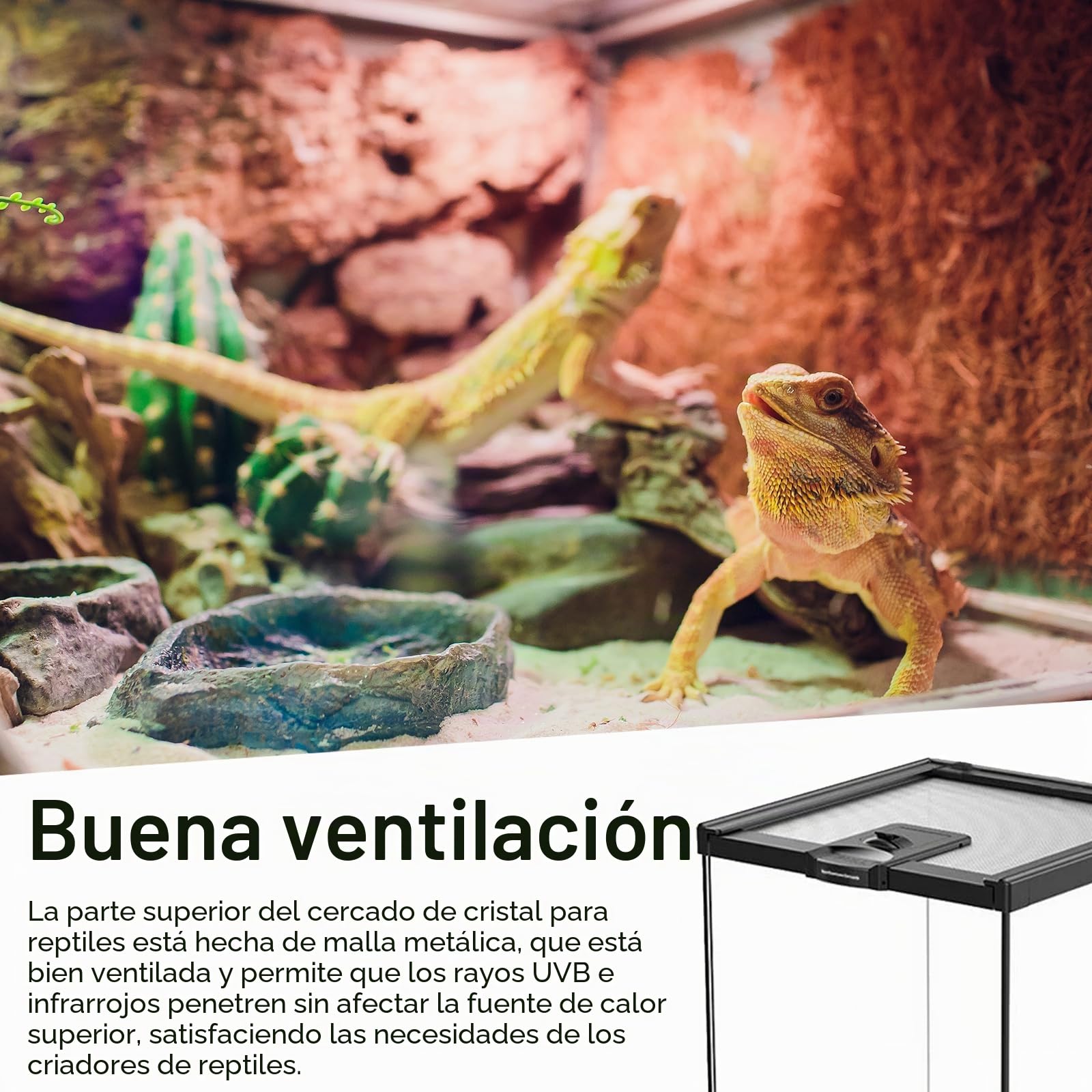 Set de Terrario, Terrario Reptiles de Vidrio de 20 x 20 x 30 cm Kit de Terrarios con Lámpara para Reptiles Termómetro Tanque Pequeño con Diseño de Piedras Comedero Pinzas y Regadera Pequeña