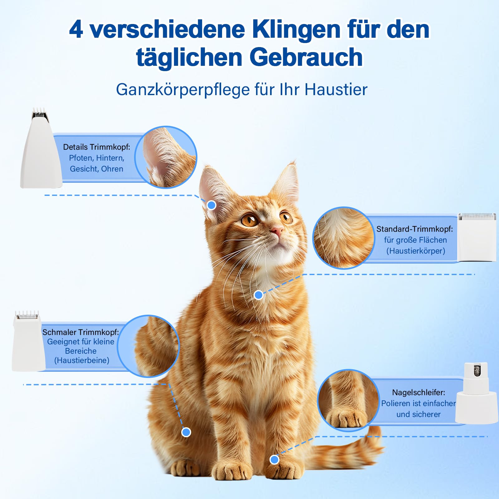 Leise Schermaschine Katze Set, 4 in 1 Haarschneidemaschine Mit LED-Licht, Profi Pfotentrimmer Für Hunde, Für Große Kleine Katzen Hunde, Für Pfoten, Augen, Ohren, Gesicht, Körpe (Weiße)