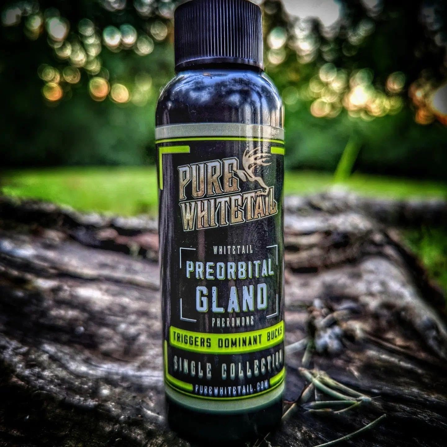 Pure Whitetail Preorbital Gland Scent | Deer Forehead Gland Scent | Natural Deer Scent | Mock Scrape Scent | Makes a Licking Stick for Deer | 2 oz Bottle