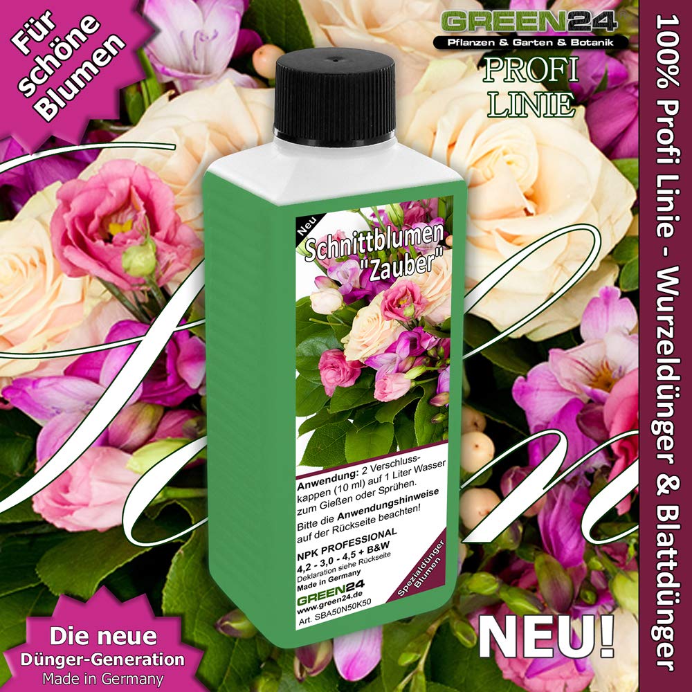menthe alo Natural Creme de Menthe Artisan Flavor 60 lbs main image 1