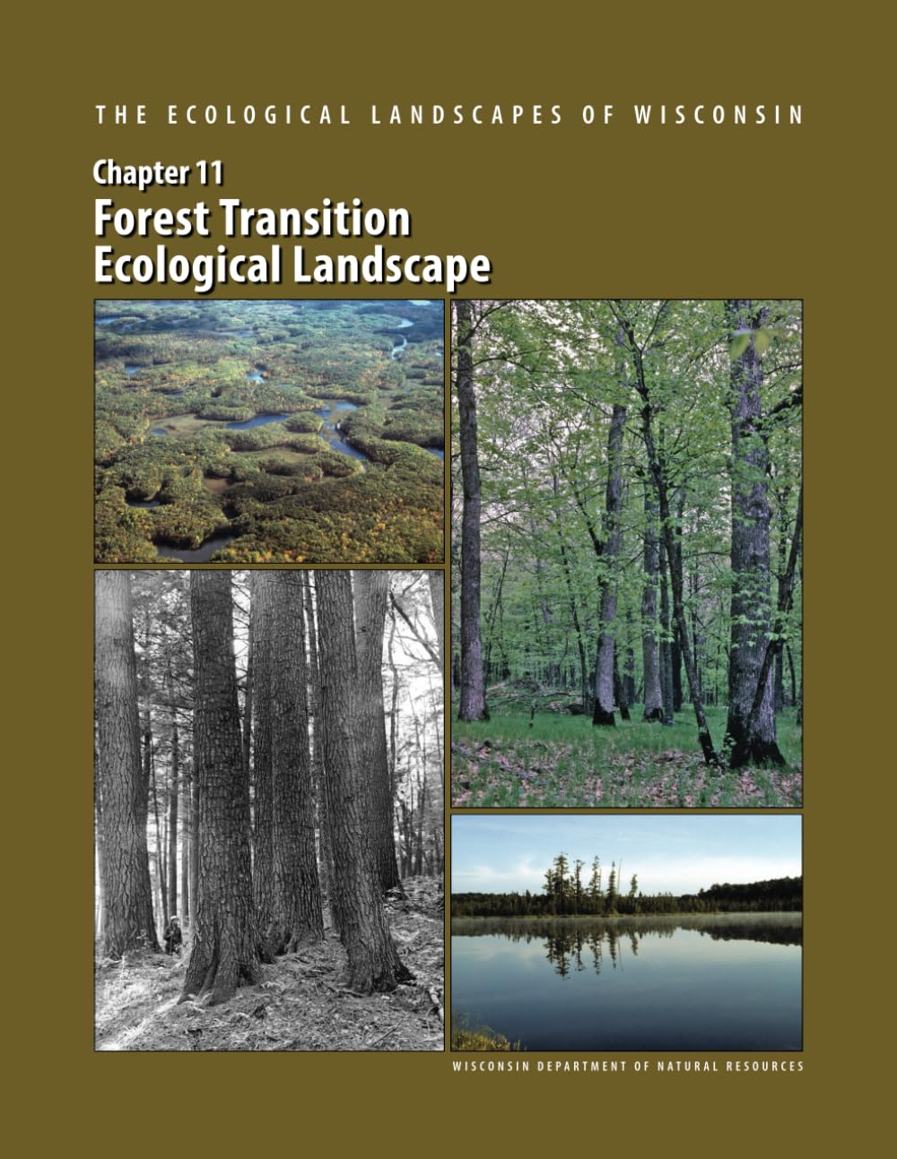 The Ecological Landscapes of Wisconsin: Forest Transition Ecological Landscape (The Ecological Landscapes of Wisconsin: An Assessment of Ecological ... a Guide to Planning Sustainable Management)      Paperback – December 31, 2015