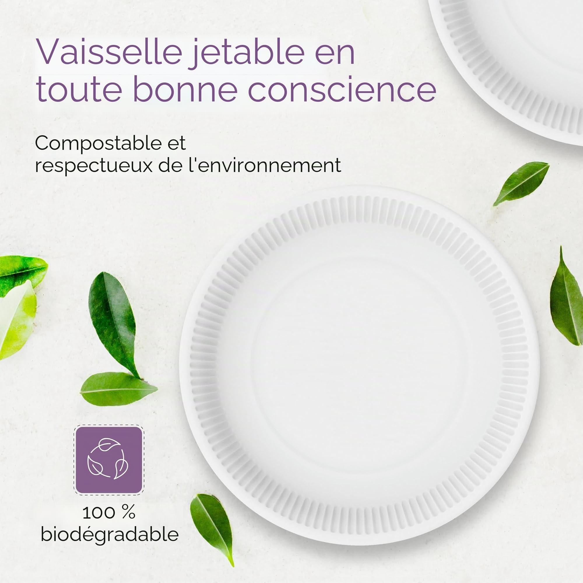 Inoverse Lot De 1000 Assiettes En Carton Blanches – Ø 23 Cm, Assiettes Rondes Jetables Écologiques Pour Gâteaux, Fêtes Et Événements