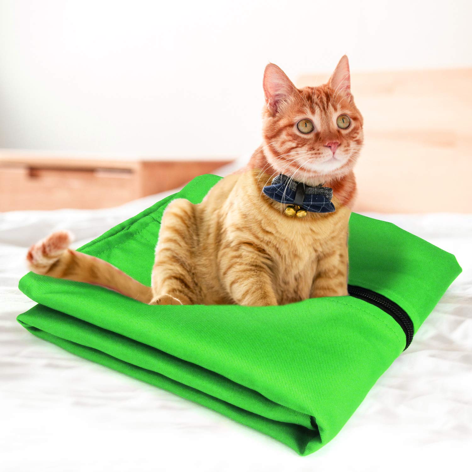 Sacco Lavatrice Per Pelosi Animali - Borsa Con Cerniera Per Peli, 70x80 Cm - Foto 11