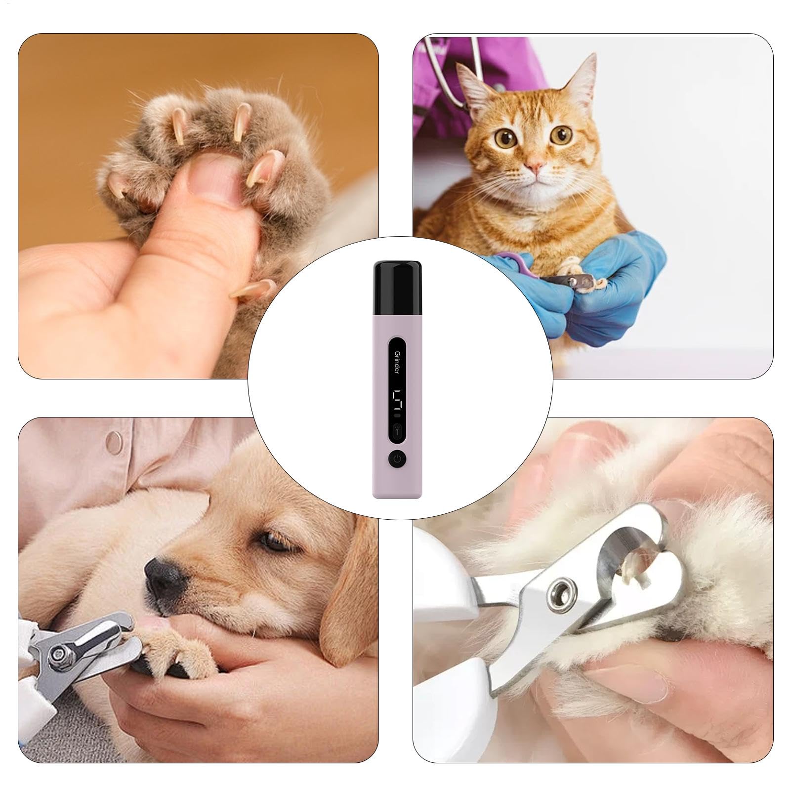 Lime À Ongles Pour Chien Soin Des Griffes Portable