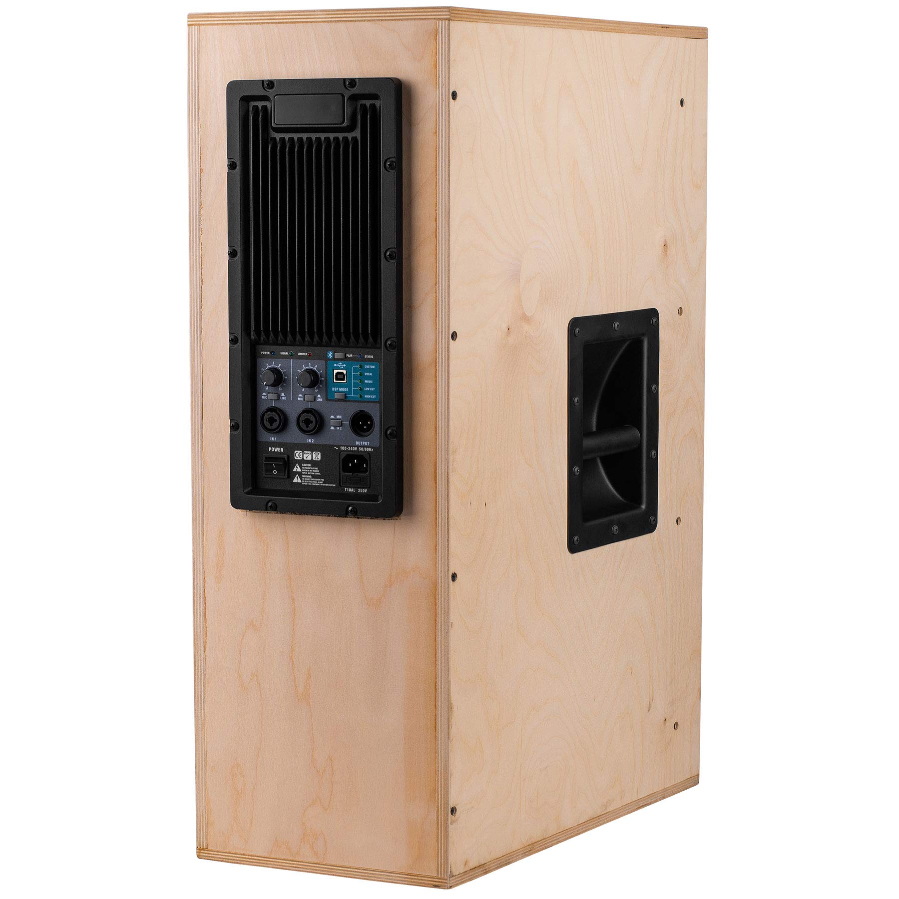 Dayton Audio PPA800DSP 2-Way Plate Amplifier 800W 2-Channel with