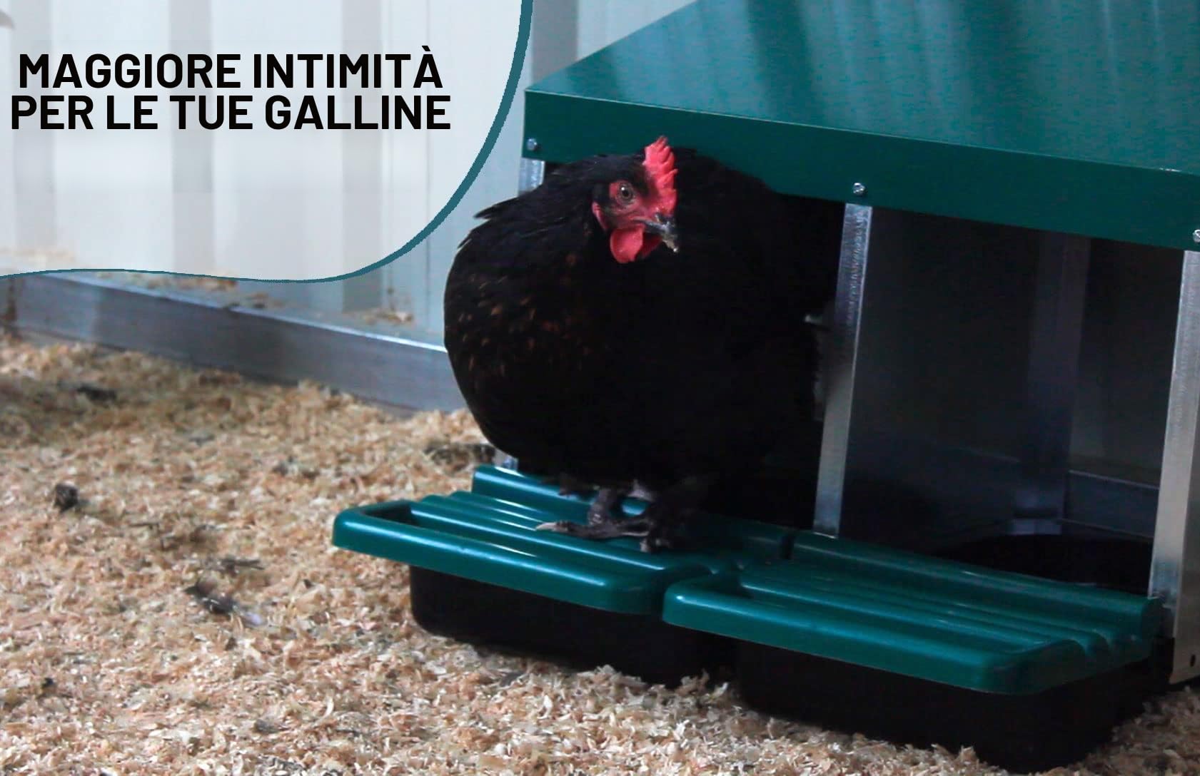 FINCA CASAREJO Nido per galline 3 Scomparti + 3 Uova Finte e Guida Pratica Sulle Uova di Galline