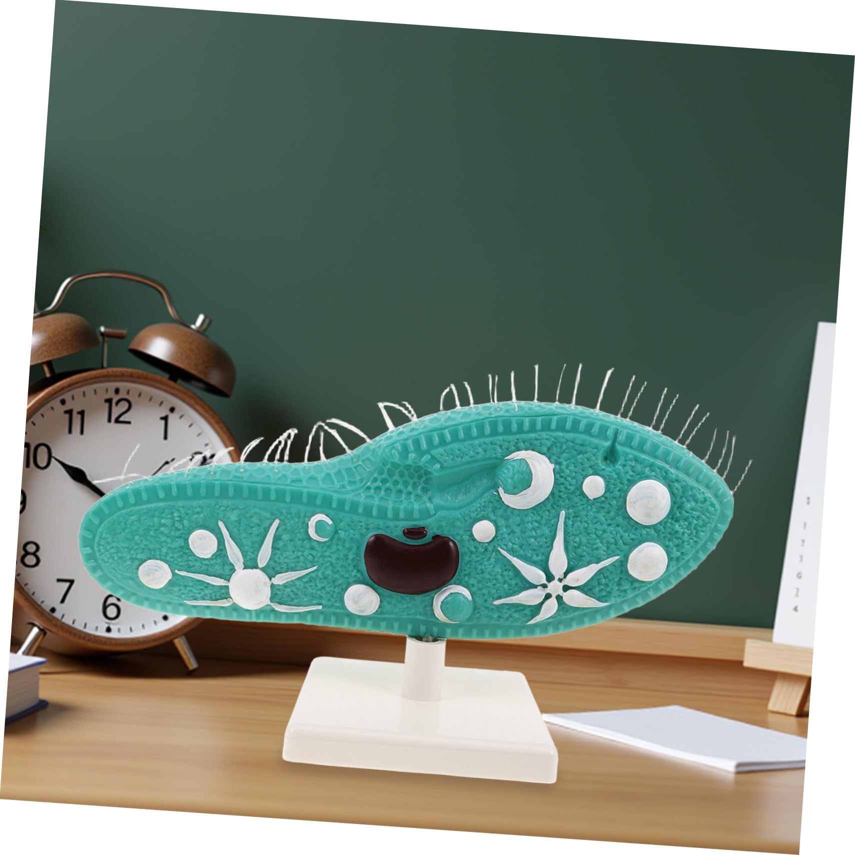 Biologie Lernmodell Paramecium mit Ständer und Detailliertem Ziliendesign aus PVC Realistische Struktur Einfache Montage für Biologieunterricht in Mittelstufe