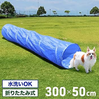 アジリティ　犬　レギュレーター アジリティ 犬 レギュレーター