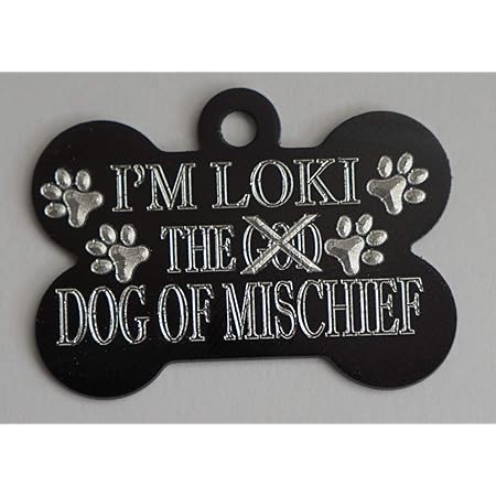 loki dog tag