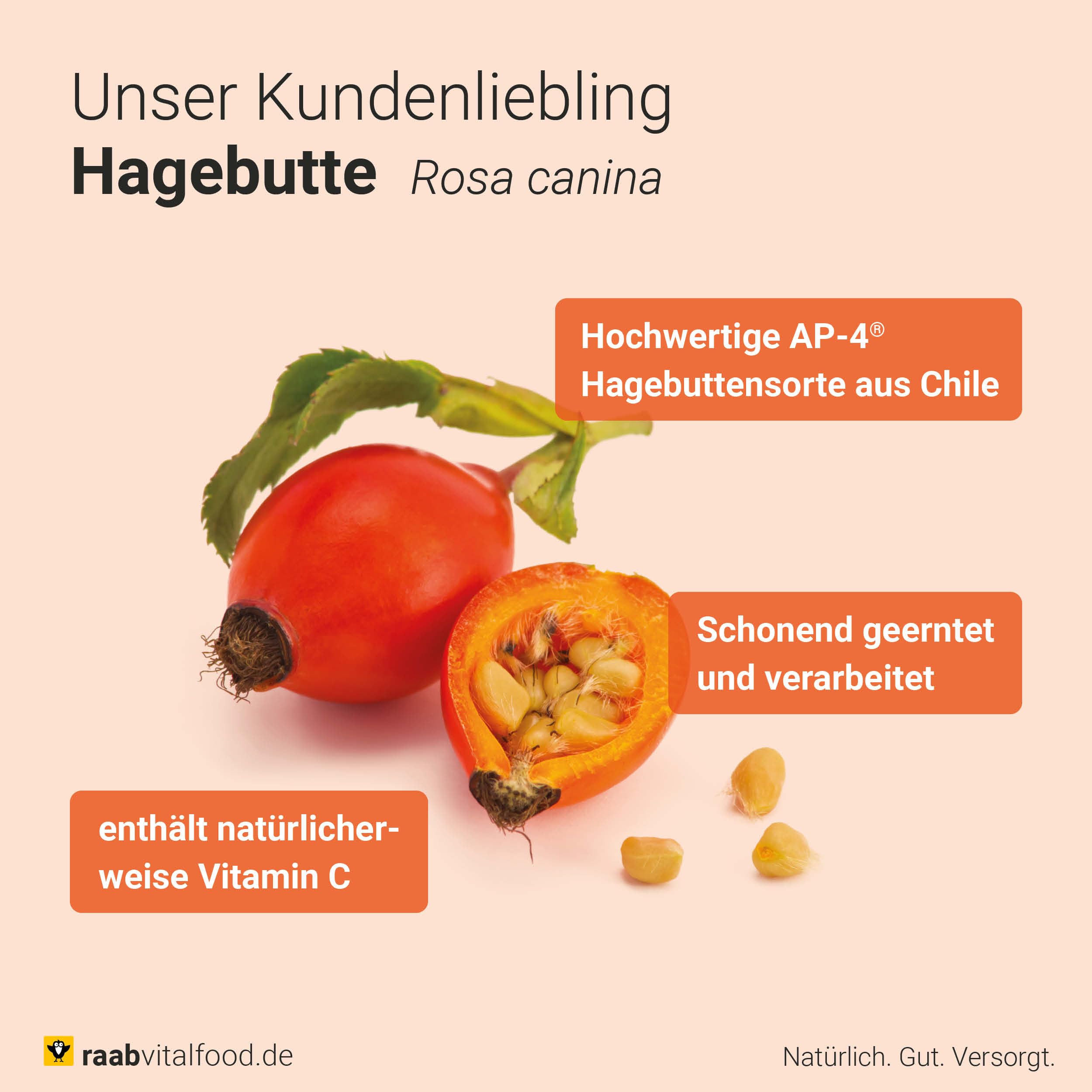 Raab Vitalfood Bio Hagebutten-Pulver, Premium-Sorte AP-4 Hagebutte aus dem Süden von Chile, mit natürlichem Vitamin C für eine normale Kollagenbildung & Knorpelfunktion (500g)