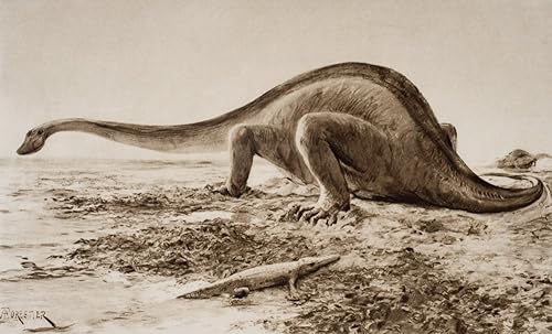 The Giganotosaurus Disinterred From Rocks 1912 From A Reconstruction Drawing By A Forrestier From The Book The Outline Of History By HGWells Volume The Giganotosaurus Disinterred From Rocks 1912 From A Reconstruction Drawing By A Forrestier From The Book The Outline Of History By HGWells Volume