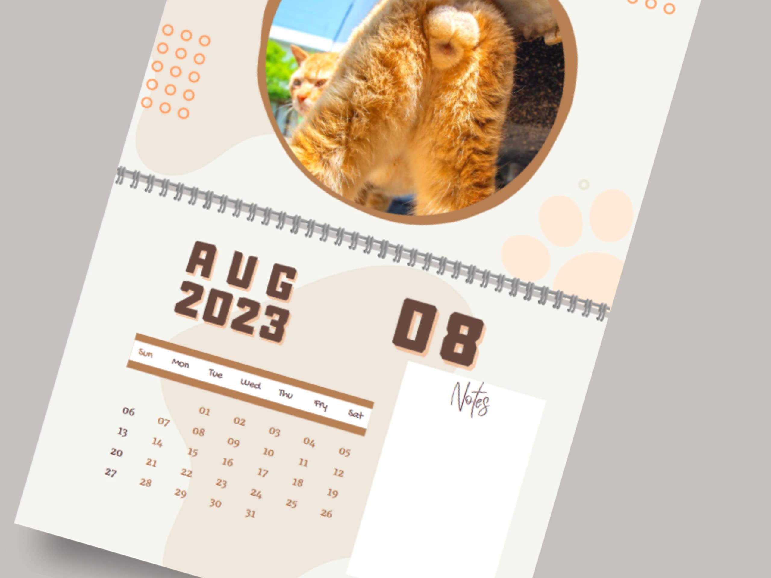 amazon-com-cat-butthole-calendar-2023-17-x-11-inches-funny-12-month-balls-with-room-for-notes-sturdy-glossy-pages-on-metal-ring-whimsical-and-fun-pictures-grey-white-light-pink-office-products