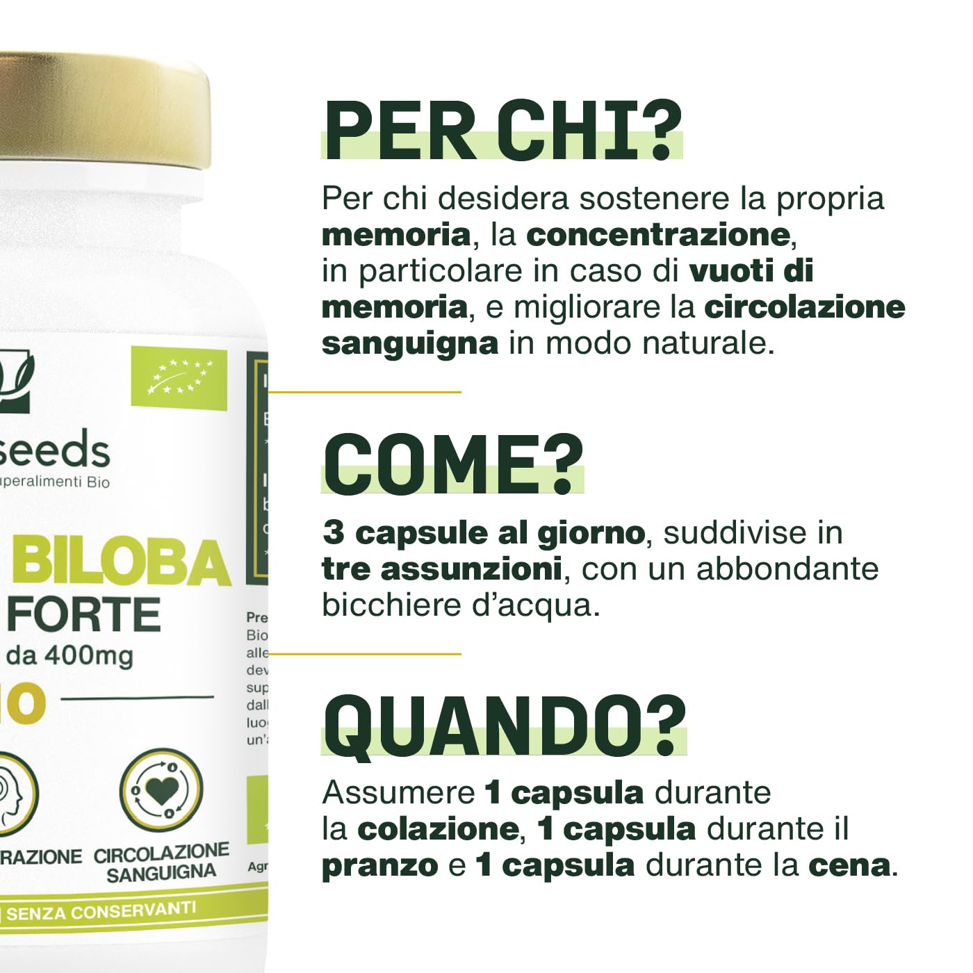 Ginkgo Biloba BIO | Extra Forte, 4560mg al giorno | Contiene Flavonoidi e Terpeni | 90 capsule vegane | Memoria, Concentrazione, Circolazione Sanguigna | Qualità Superiore