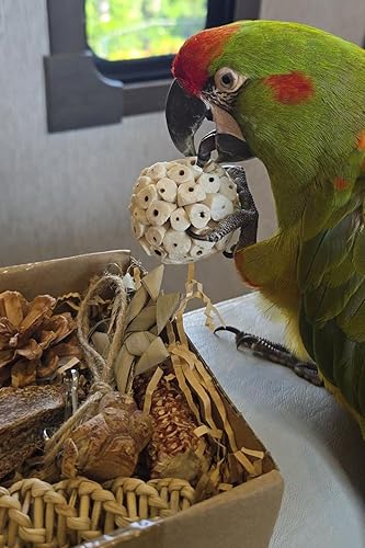 Tyotrbs 2 in 1 Parrot Toys, Parakeet Foraging Box DIY Hanging String with Comes with 2 Hooks Bird Toy for Parakeets,Cockatiels,Conures,Love Birds Cage Accessories for Small to Medium Birds