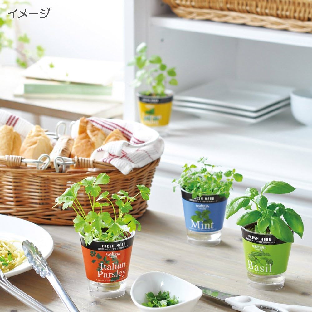 Amazon.co.jp: 聖新陶芸 フレッシュハーブ ミント: DIY・工具