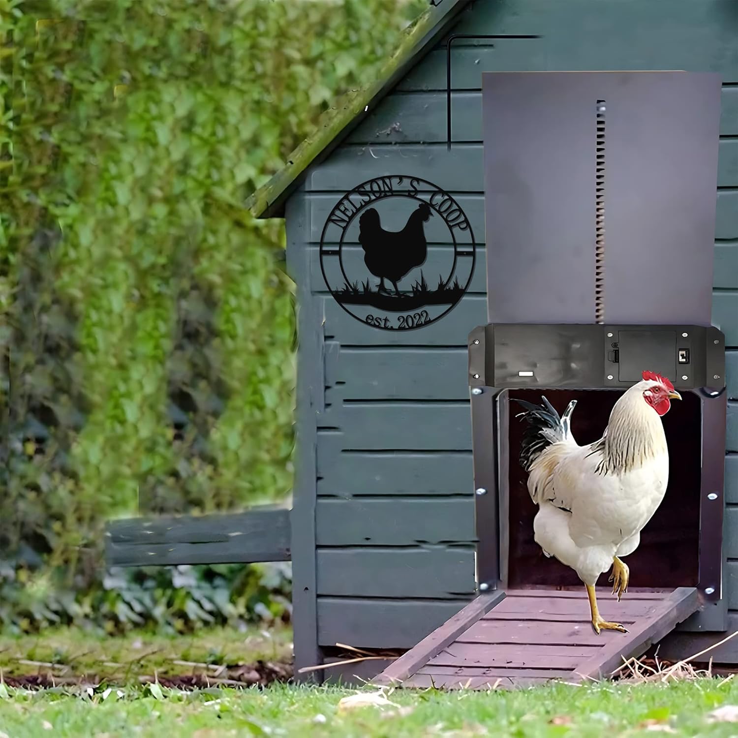 GodLover Luxury Personalized Chicken Coop Name Sign, Custom Metal Hen House Sign, Farmhouse Metal Sign, Metal Rooster Yard Art, Chicken Sign, Chicken Hen House Sign, Mother's Day Gift