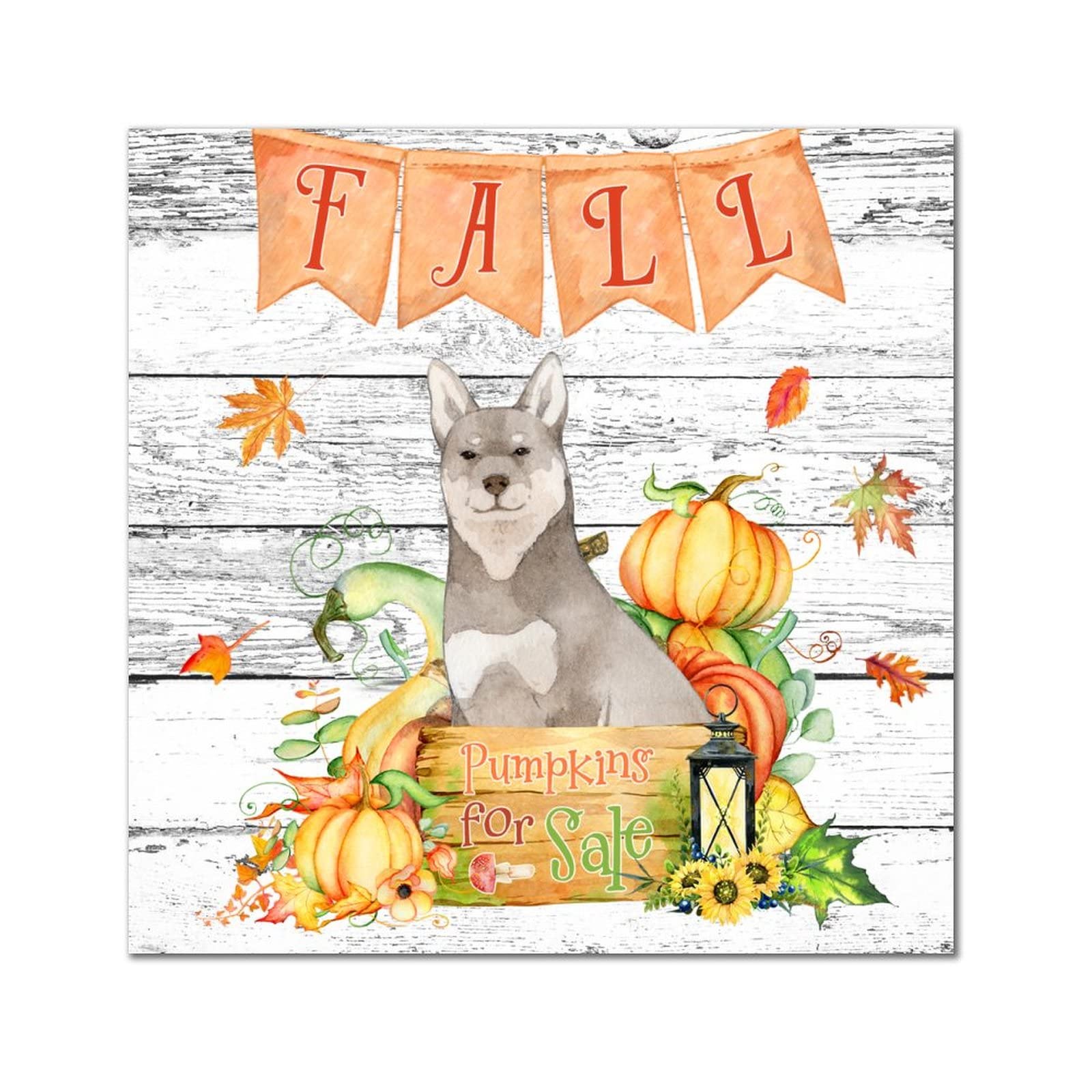 Plaque de decoration de bar Fall Pumpkins Boston Terrier panneau en bois de fete