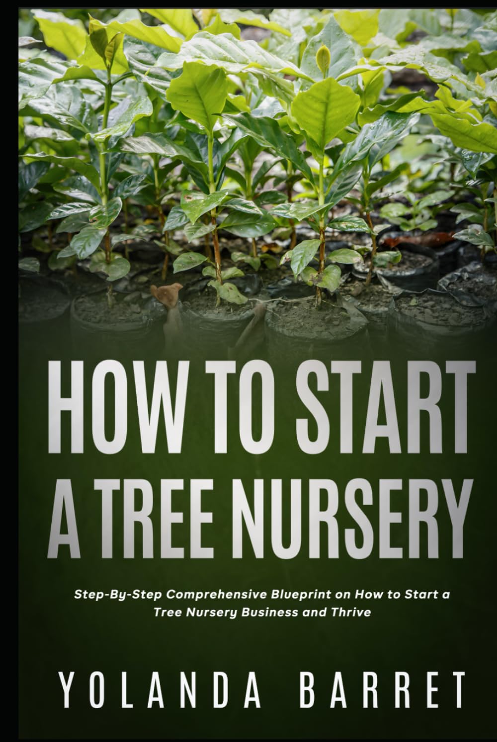 How To Start a Tree Nursery: Step-By-Step Comprehensive Blueprint on How to Start a Tree Nursery Business and Thrive