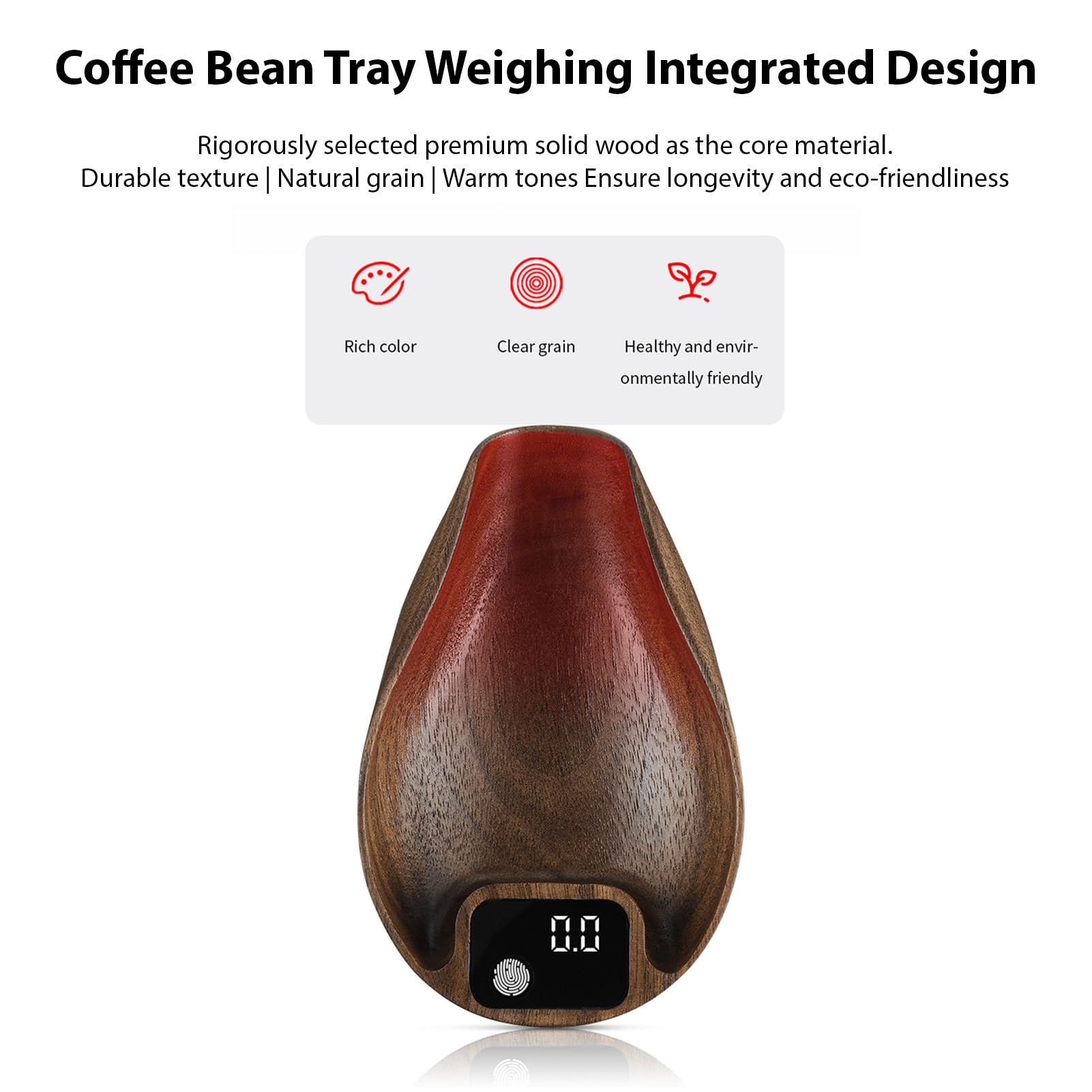 Kit de báscula de granos de café con botella pulverizadora, báscula digital de precisión de 0,1 g para elaboración de cerveza, pantalla LED de alta precisión de 30 g de capacidad,