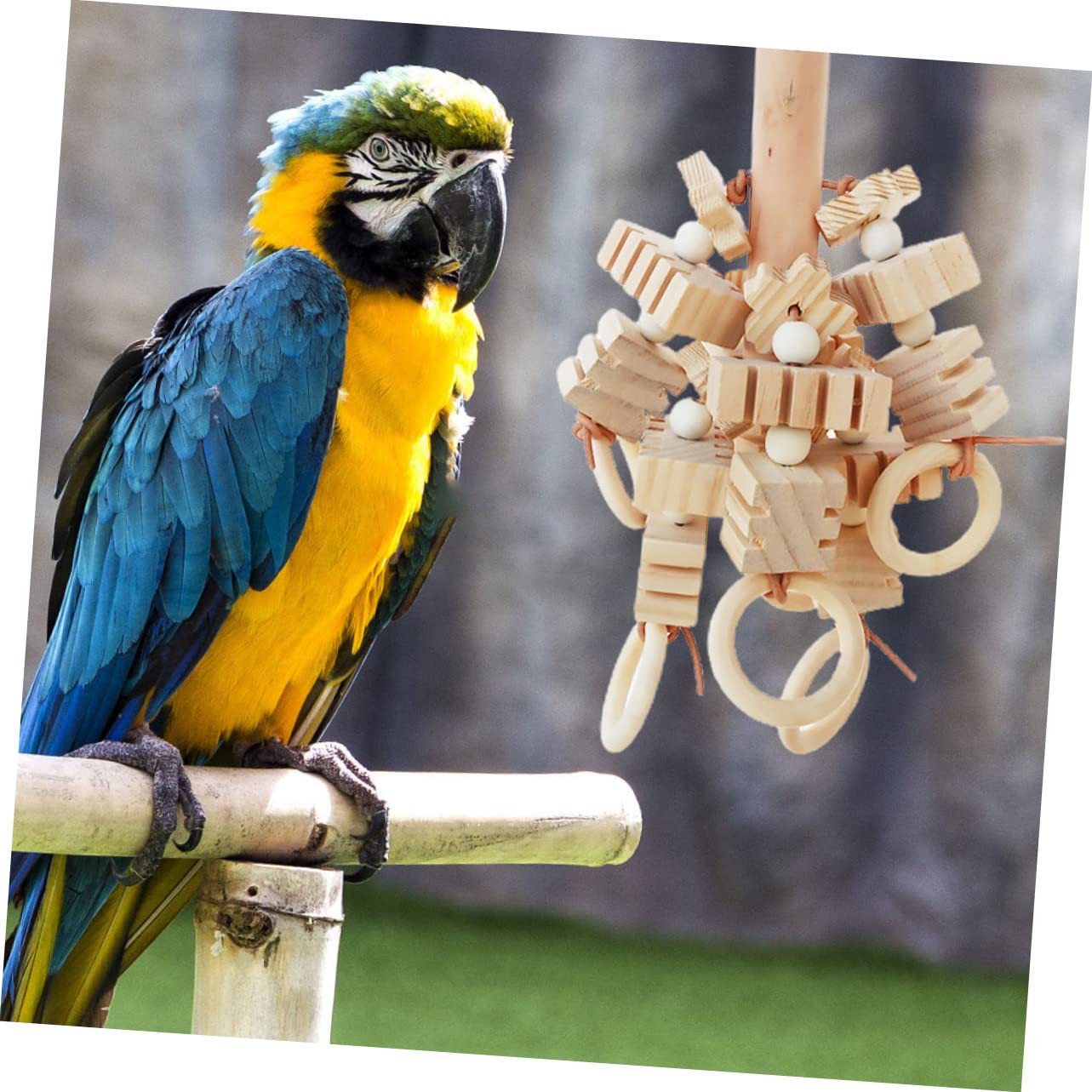 Toddmomy 2piezas Juguete De Madera para Pájaros Colgante De Masticar y Moler Juguete De Entretenimiento para Periquitos y Cacatúas para Jaulas De Aves y Actividades De Roer