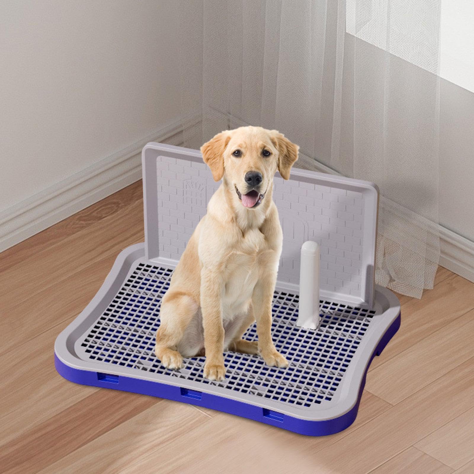 Hundetoilette mit Schützendem Netzgewebe, Welpen Und Katzenklo, Hundetoilette für Wohnung, Kätzchen Und Außenbereich, Klein Blau