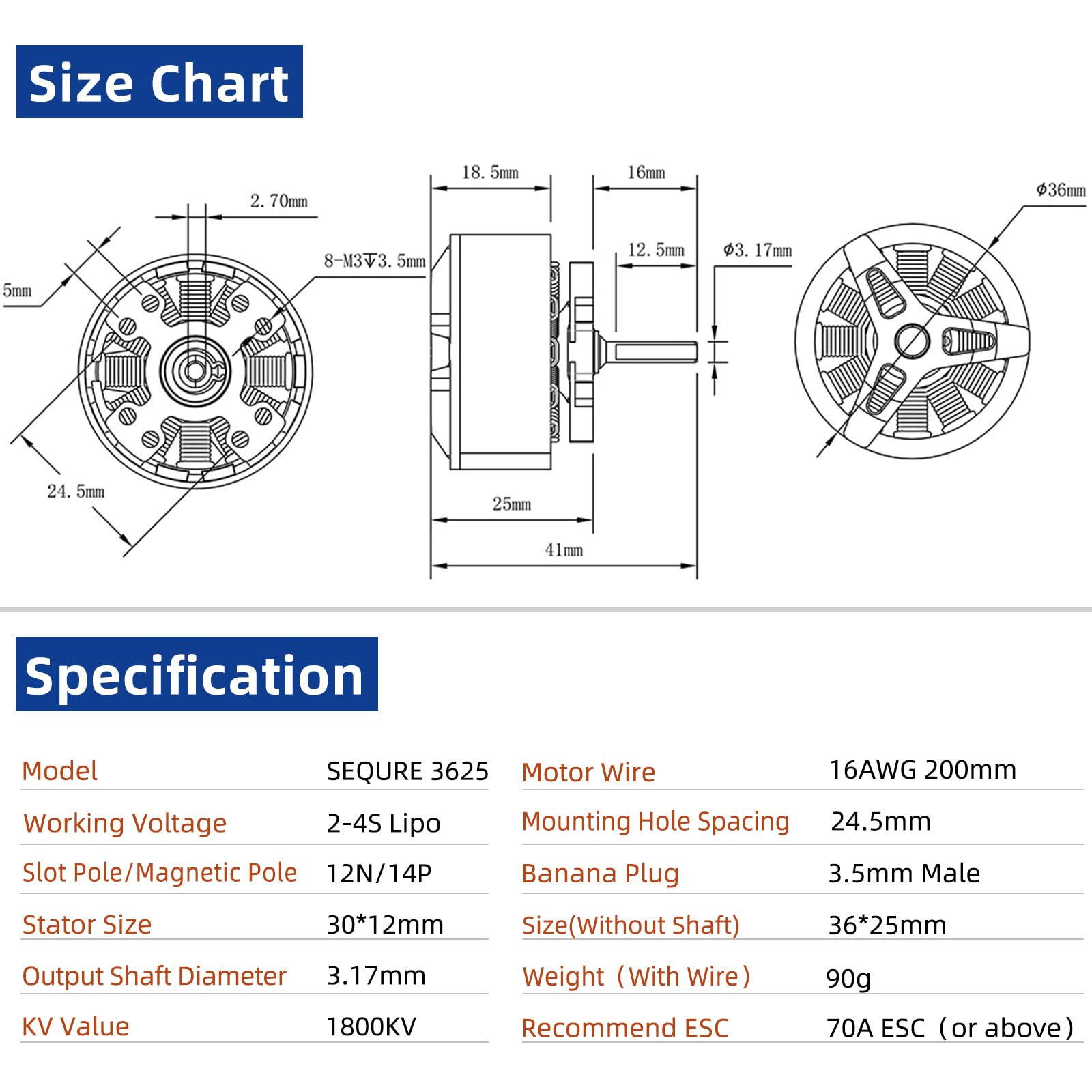 SEQURE 3625 Brushless Motor 1800KV Outrunner Motor 2-4S Outer Rotor Brushless Motor with 3.5mm Male Banana Connector for 1/10 RC Crawler Car