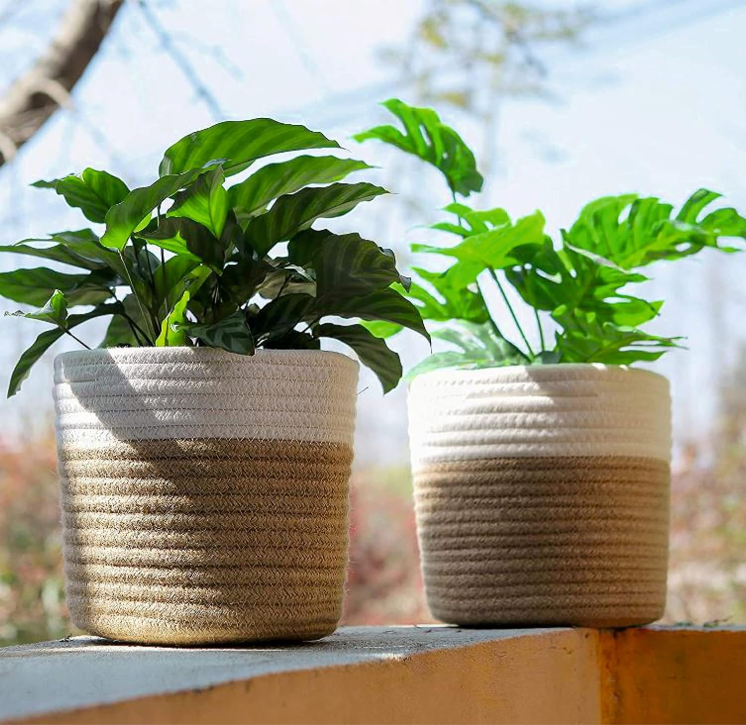 BEAUTIFUL HOMMIES Jute & Cotton Planter Basket/Pot Bag, Plant Sack for Home Decor (Set of 2 Pcs, Beige-White, 6x6 inches)-Basket for Storage, Kitchen, Clothes, Laundry, Living Room, Picnic, Hamper Bin (B0D7TCCLGS) Amazon Price History, Amazon Price Tracker