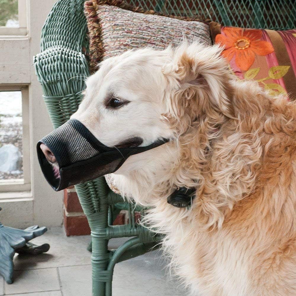 Western Era Strap Safe Net Wire Muzzle for Pet Safety Collar for Anti Biting Dog (Black) (Medium - M) 2