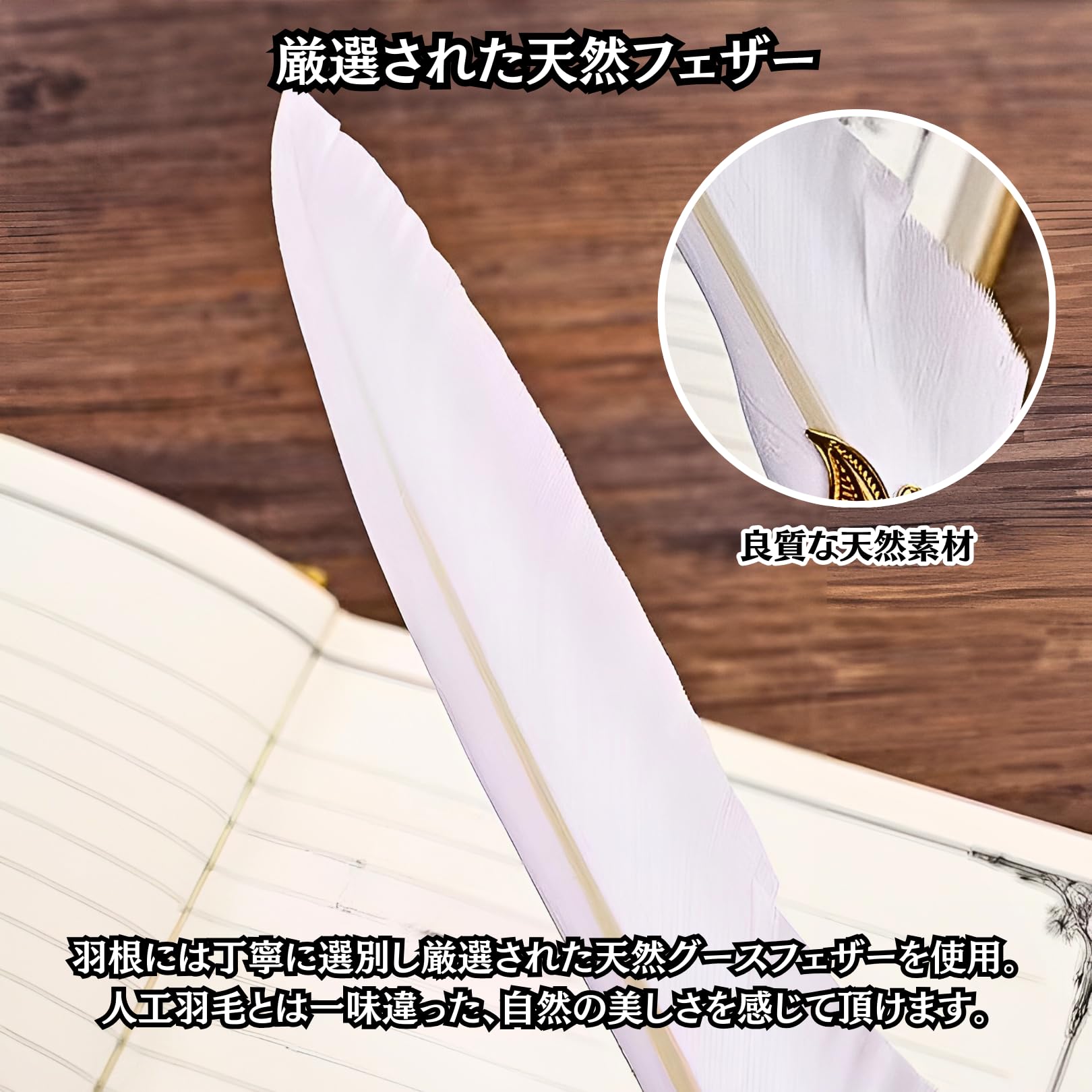 Amazon | Charmoon 羽ペン アンティーク インクボトル ギフトボックス