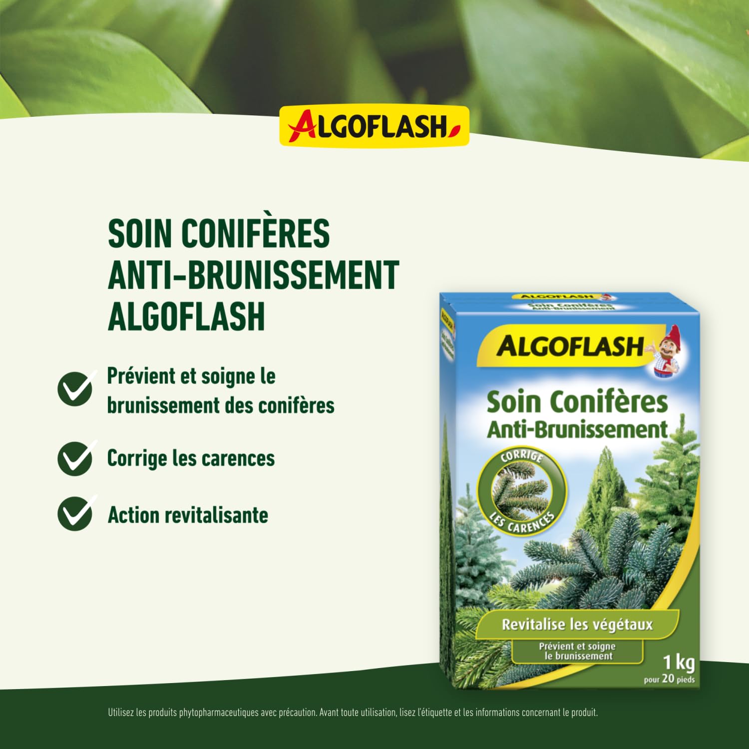 ALGOFLASH Soin Conifères Anti-brunissement 800g - Revitalise Et Protège Les Conifères - Utilisable En Bio