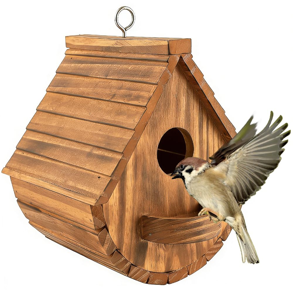 Nichoir à oiseaux naturel contre les intempéries : protégez le merle bleu dans votre jardin