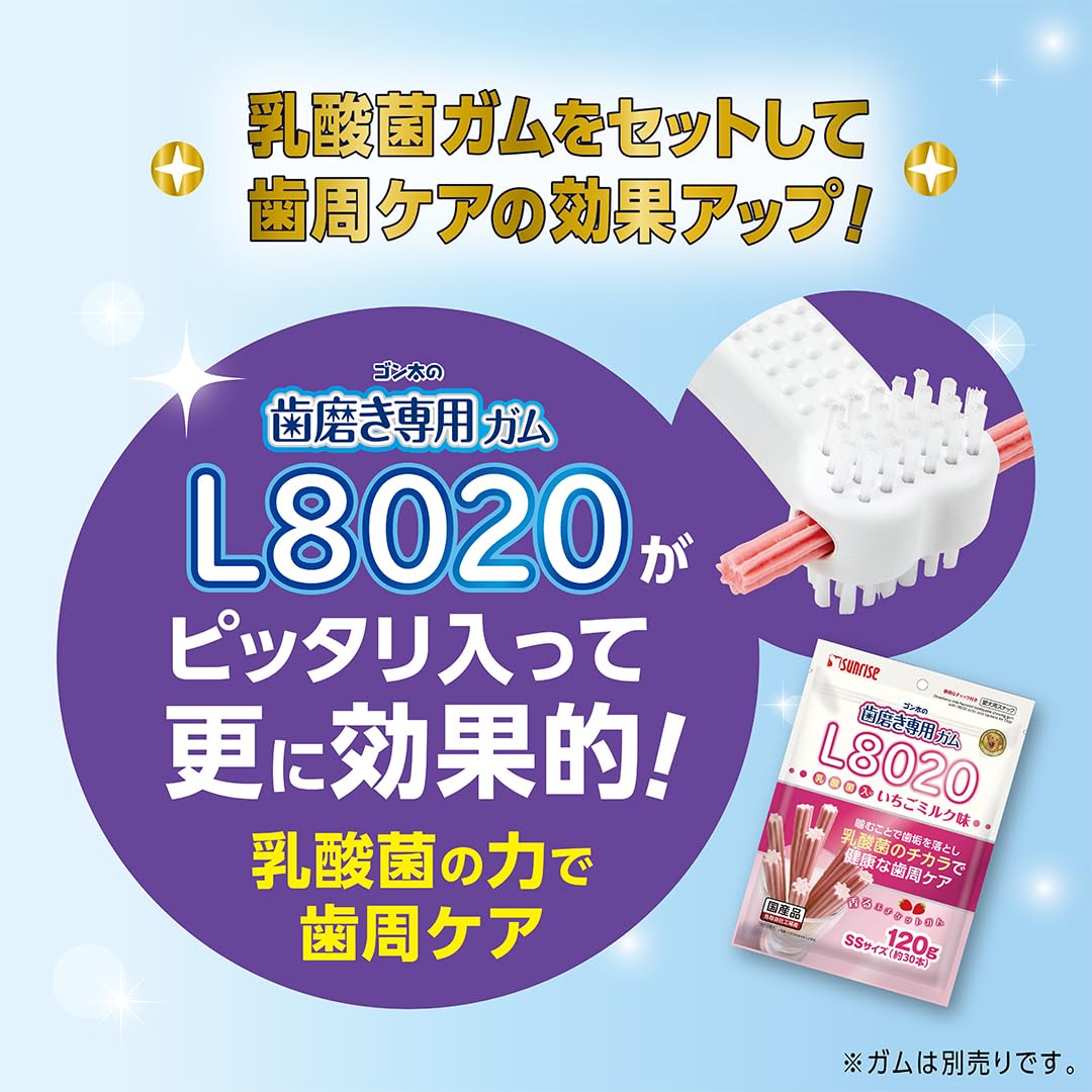 Amazon | マルカン ゴン太のデンタルトイ かむピカボーン Lサイズ 中型