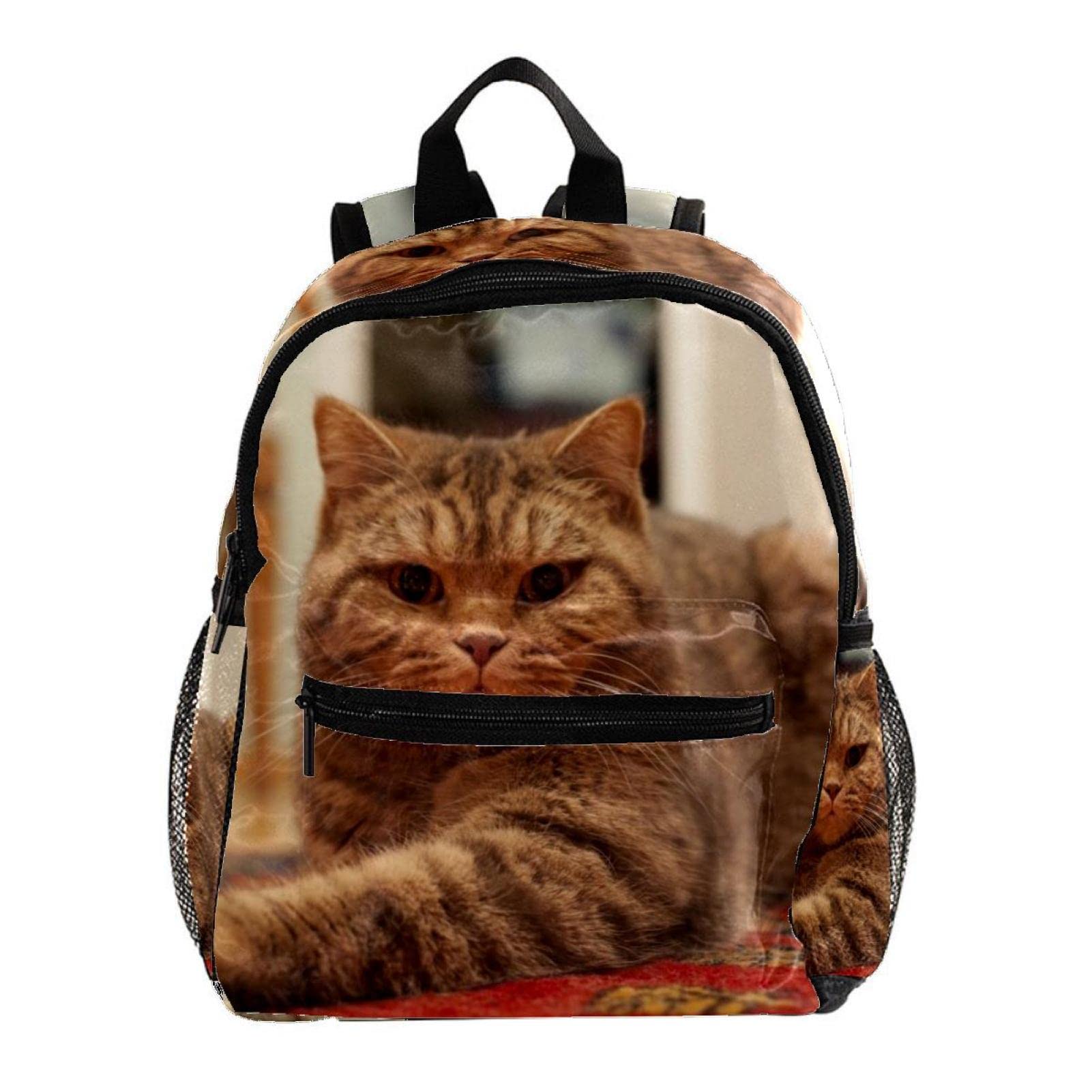 Sac à dos chat pour garçons et filles de 30,5 cm multicolore