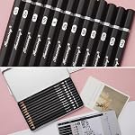 12pcs Set de crayons de dessin d'artiste professionnel, Graphite Dessin de crayons (14B 12B 10B 8B 6B 4B 2B B HB H 2H 4H) pour croquis, ombrage, illustration, dessin architectural & Beaux-arts