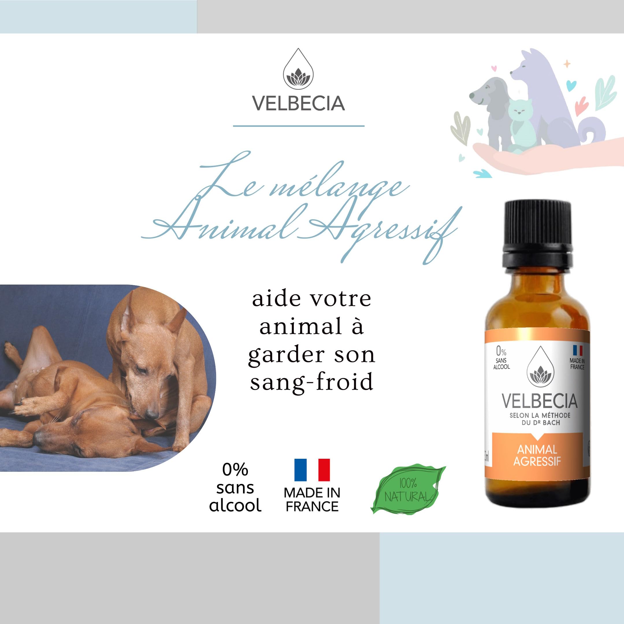 Velbecia® Animal agressif 50ml +1 OFFERT Elixirs de fleurs SANS ALCOOL - Méthode du Dr Bach - Dangereux, méchant, imprévisible, attaque, grogne