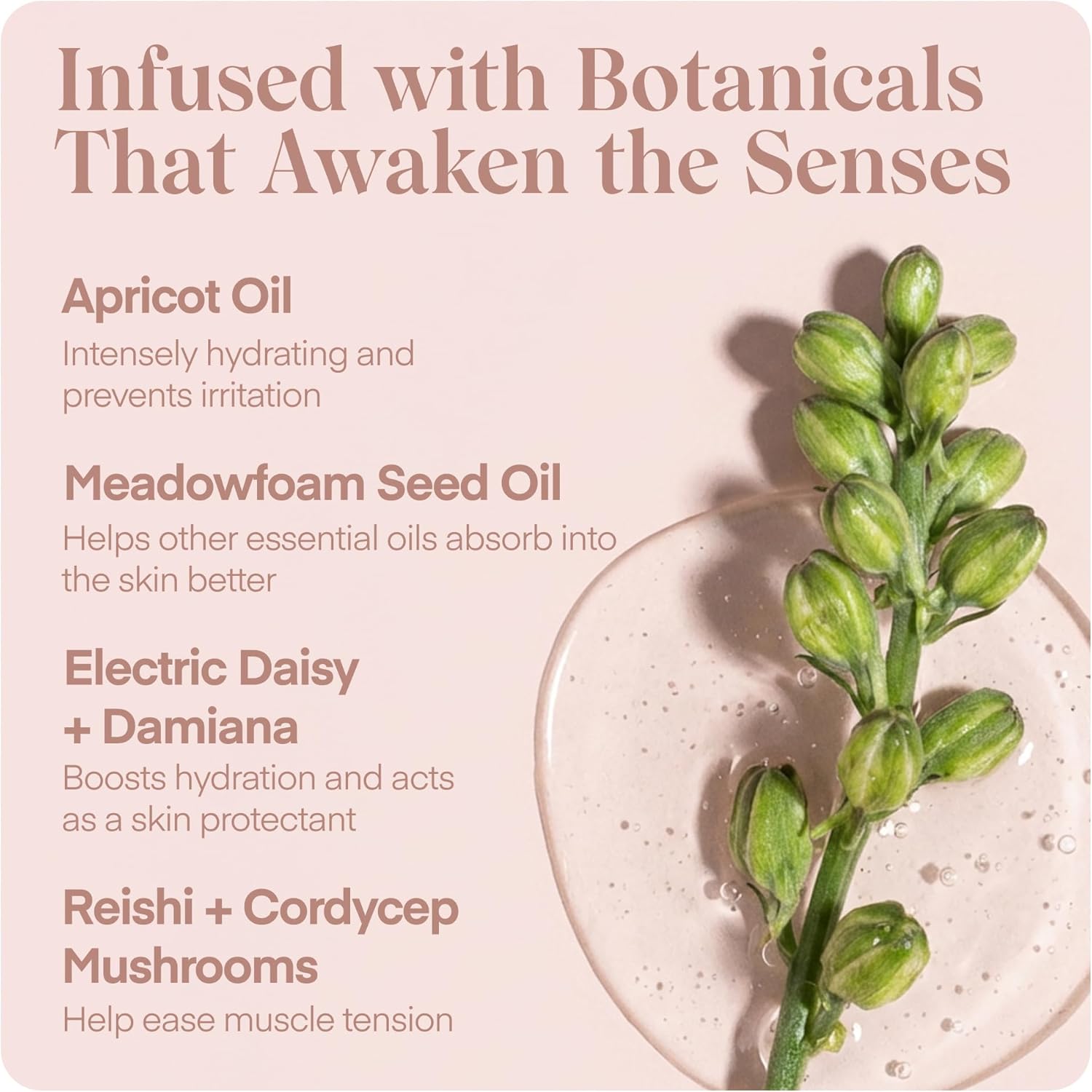 Playground Mood Maker Intimacy Oil, Organic Pleasure Enhancer with Ashwagandha, Reishi & Cordyceps, Pleasure Enhancing, Organic, Hydration, Travel Friendly Formula, 1 Fl. Oz. - Image 7