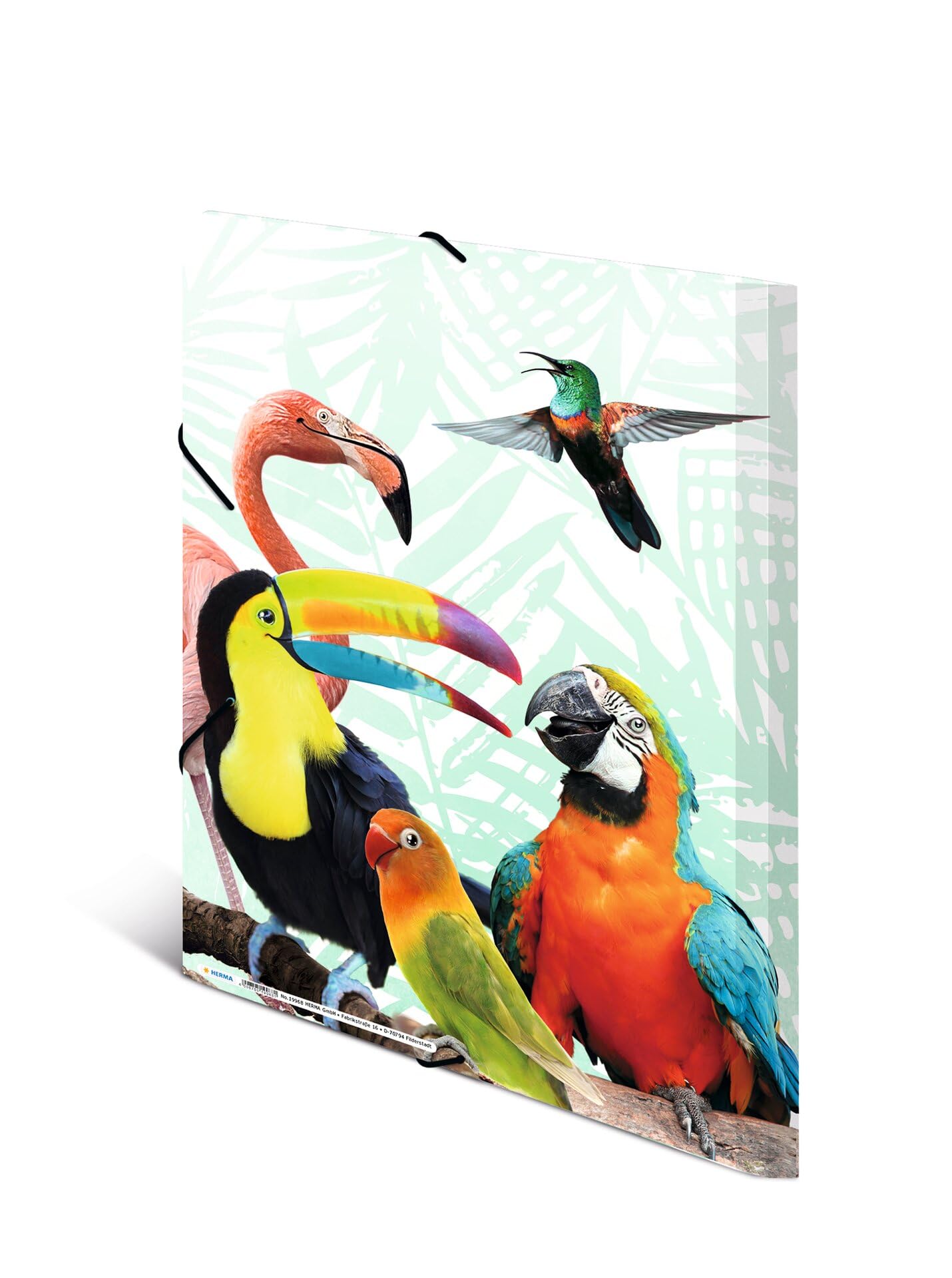 HERMA Collector's Folders A3 Parrot Set, 3 Pieces, Children's Plastic Corner Folder with Animal Motif, Elastic Band - Image 2