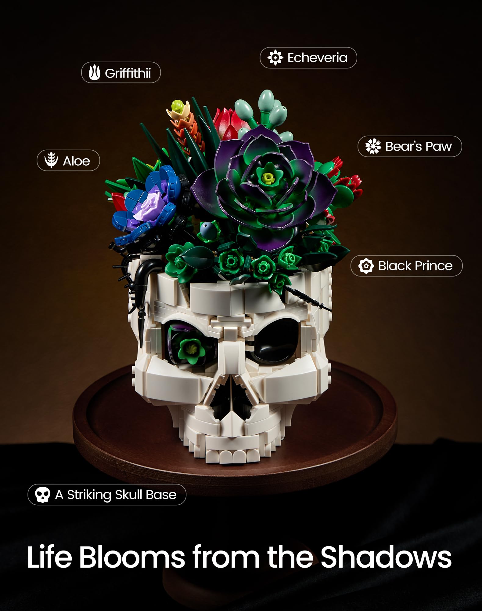 Juego de construcción de macetas de calavera suculenta, kit de construcción de colección de macetas de esqueleto botánico, plantas de terror, decoración de mesa para el hogar, oficina