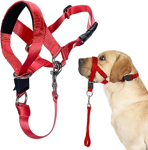 Collar de cabeza sin tirones para entrenar y caminar de perros, arnés suave con guía de entrenamiento experto (idioma español no garantizado), pone