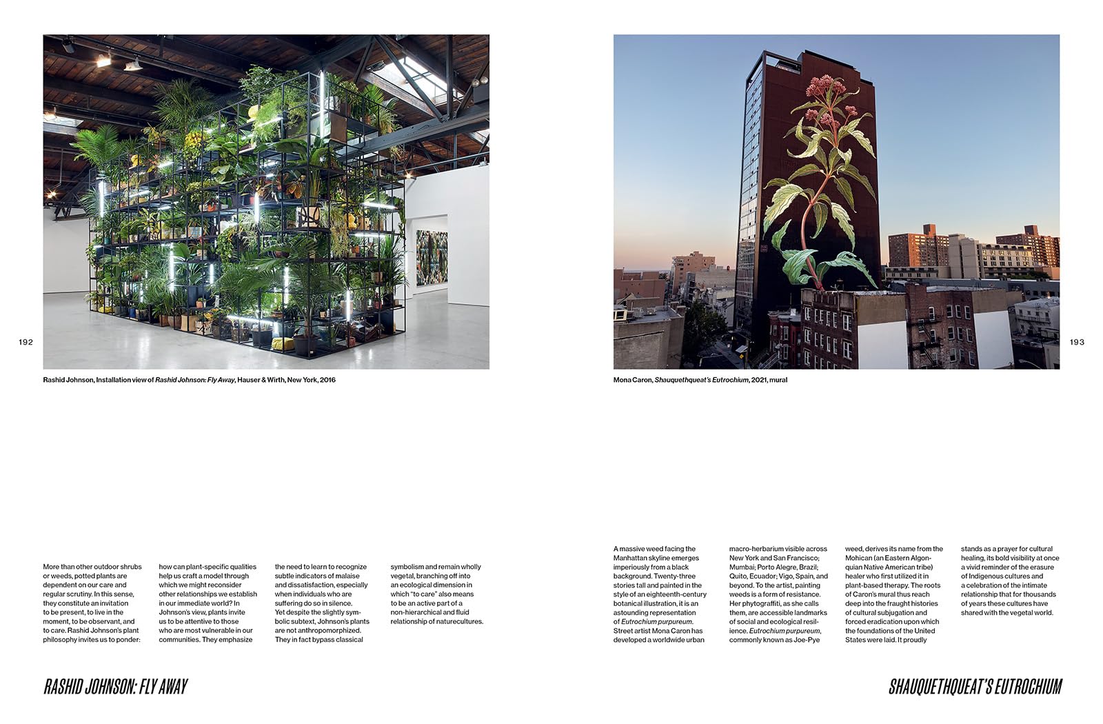 Botanical Revolutions: How Plants Changed the Course of Art