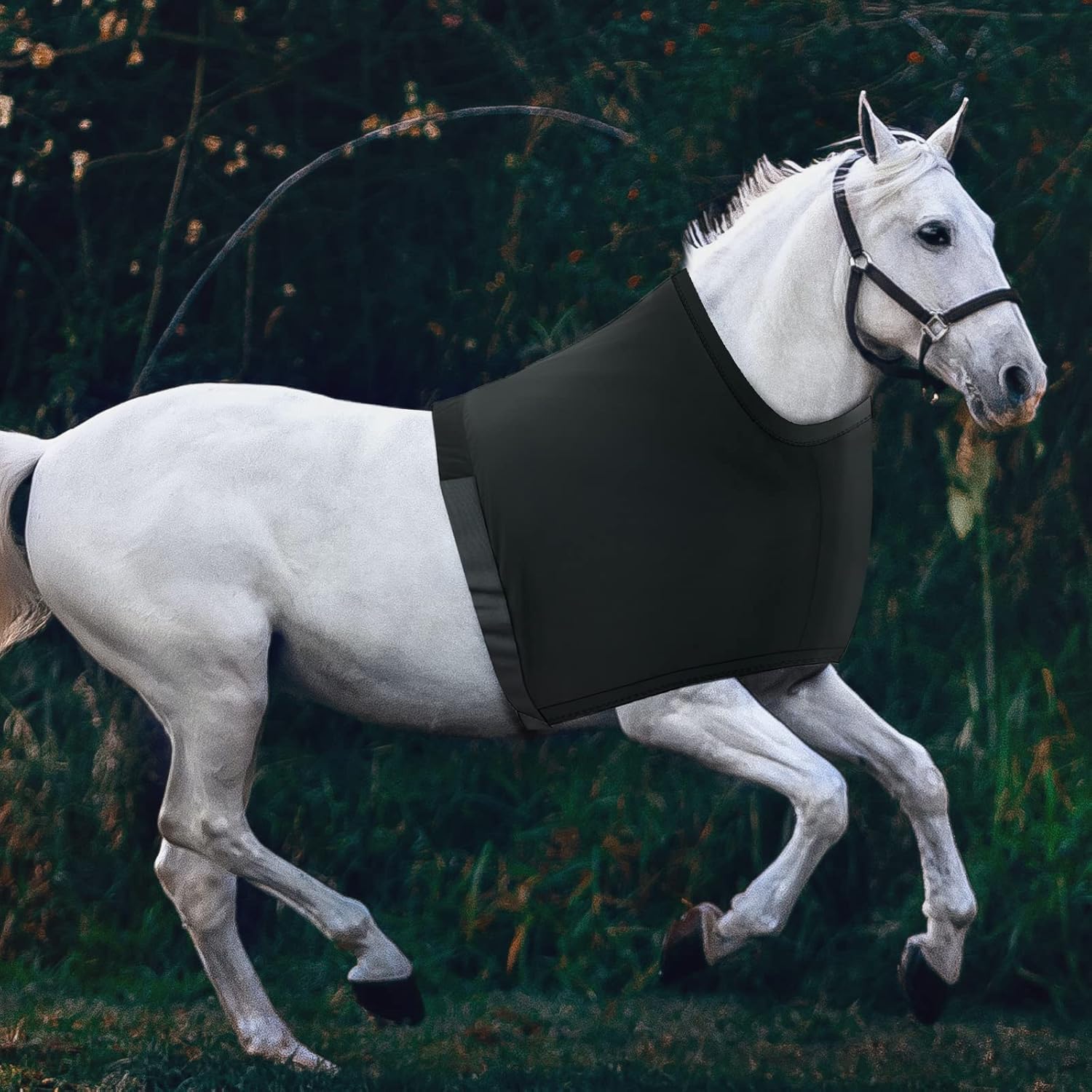 Horse Shoulder Guard, High Elastic Spandex Fabric Horse Vest - Anti-Rub Bib - Black(Size L)