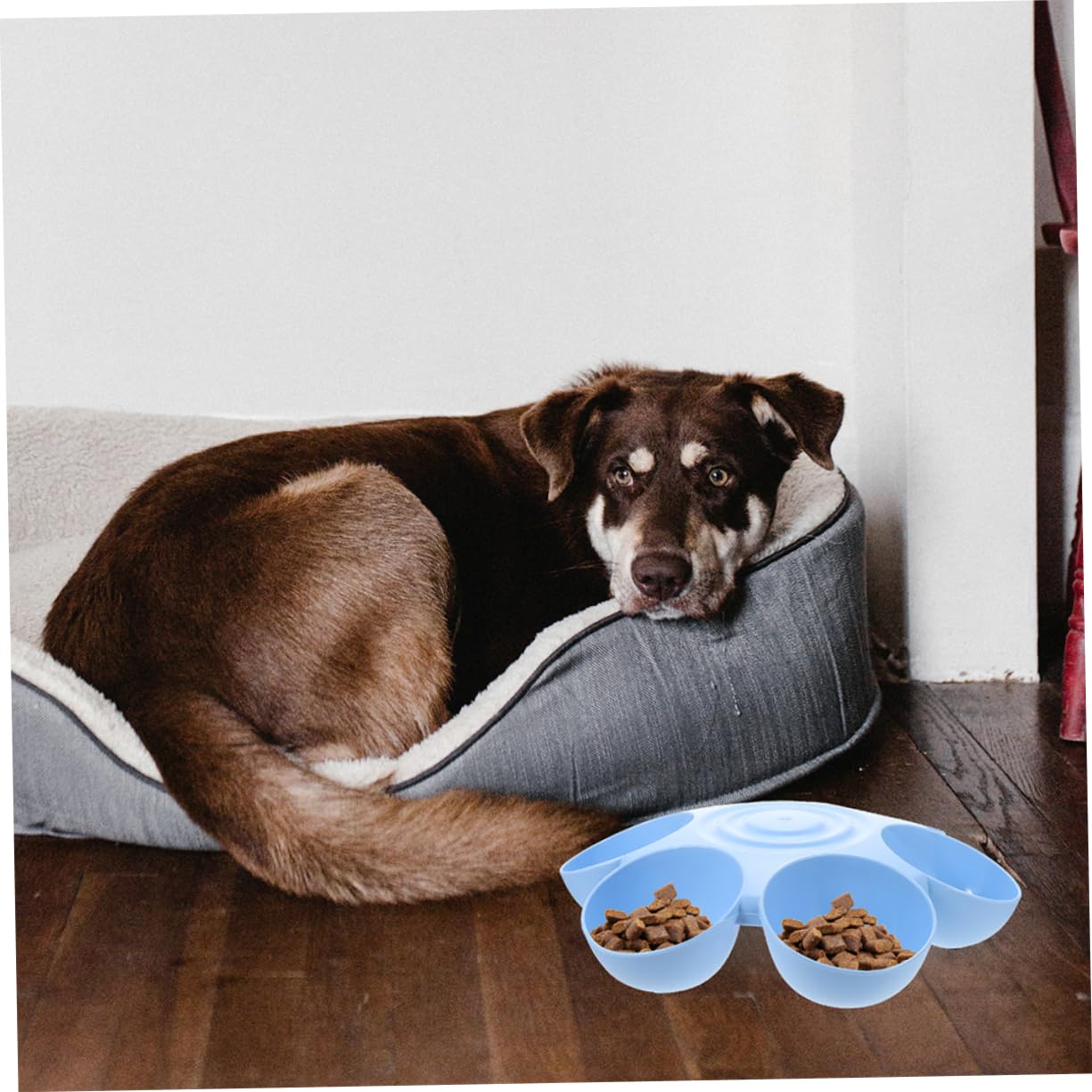 INOOMP 2 Piezas Tazón de Agua y Comida para Mascotas de Comedero Multifuncional Forma de para Gatos y Perros Diseño Antideslizante y de Limpiar
