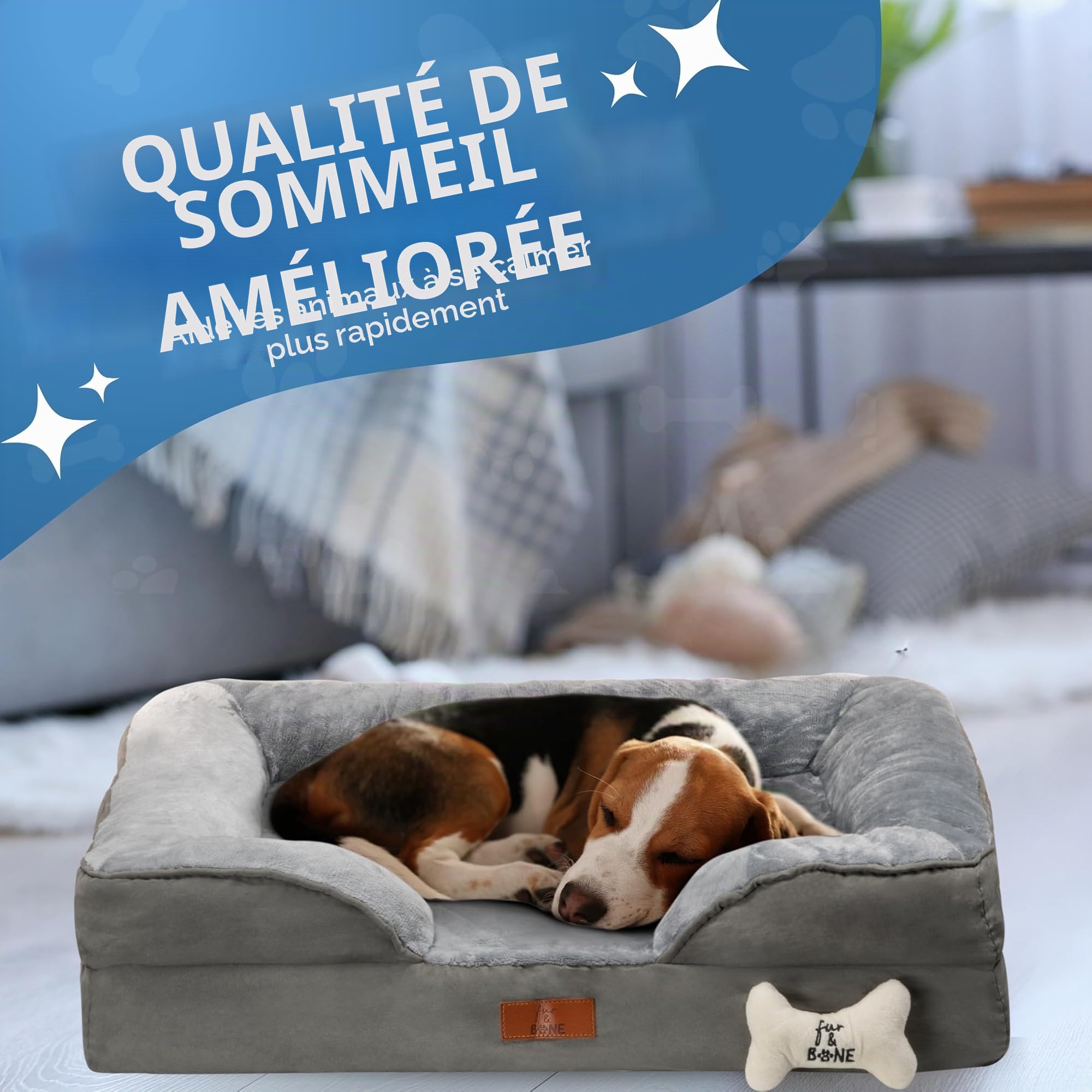 Fur & Bone Lit pour chien de taille moyenne (70 x 58 x 18 cm) - Lit pour chien avec coussin doux - Lit orthopédique pour chien - Housse amovible en velours peluche - Couche imperméable - Fond