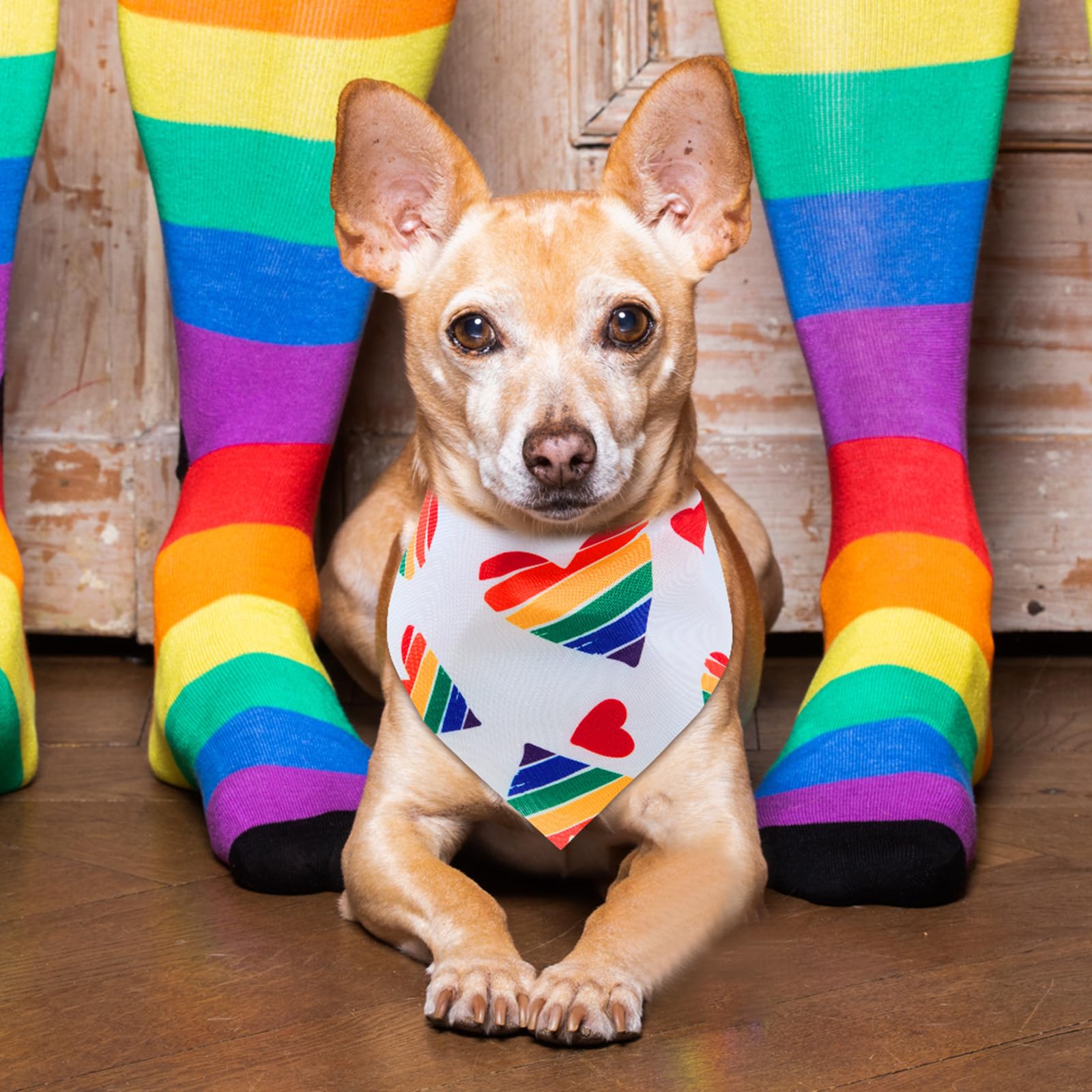 Chicingyou 48 bandanas de orgullo para perros LGBT, bufandas para mascotas con color arcoíris, rayas arcoíris, bandana para perros y gatos, bufanda triangular para vacaciones de verano, accesorios de